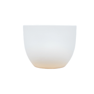 Pot Eggy Wit en pot  Hauteur 43cm. Plante verte type Pot Eggy Wit, livrée en pot, idéale pour intérieur lumineux.
