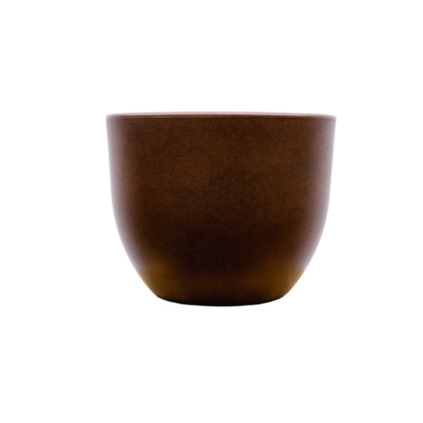 Pot Eggy Bronze en pot  Hauteur 51cm. Plante verte type Pot Eggy Bronze, livrée en pot, idéale pour intérieur lumineux.
