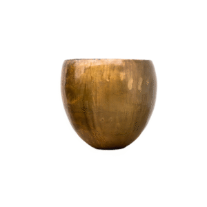 Pot Fabien Old Camel en pot. Plante verte type Pot Fabien Old Camel, livrée en pot, idéale pour intérieur lumineux.