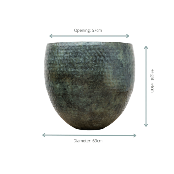 Pot Fabien Mystic Green en pot. Plante verte type Pot Fabien Mystic Green, livrée en pot, idéale pour intérieur lumineux. – Image 2