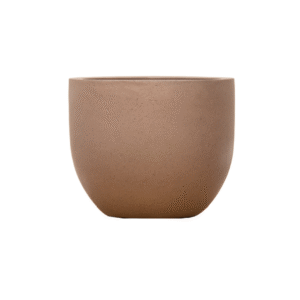 Pot Grigio New Egg Bronze en pot  Hauteur 38cm. Plante verte type Pot Grigio New Egg Bronze, livrée en pot, idéale pour intérieur lumineux.