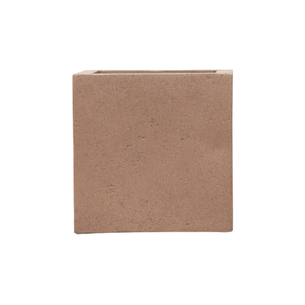 Pot Grigio Cube Bronze en pot  Hauteur 40cm. Plante verte type Pot Grigio Cube Bronze, livrée en pot, idéale pour intérieur lumineux.
