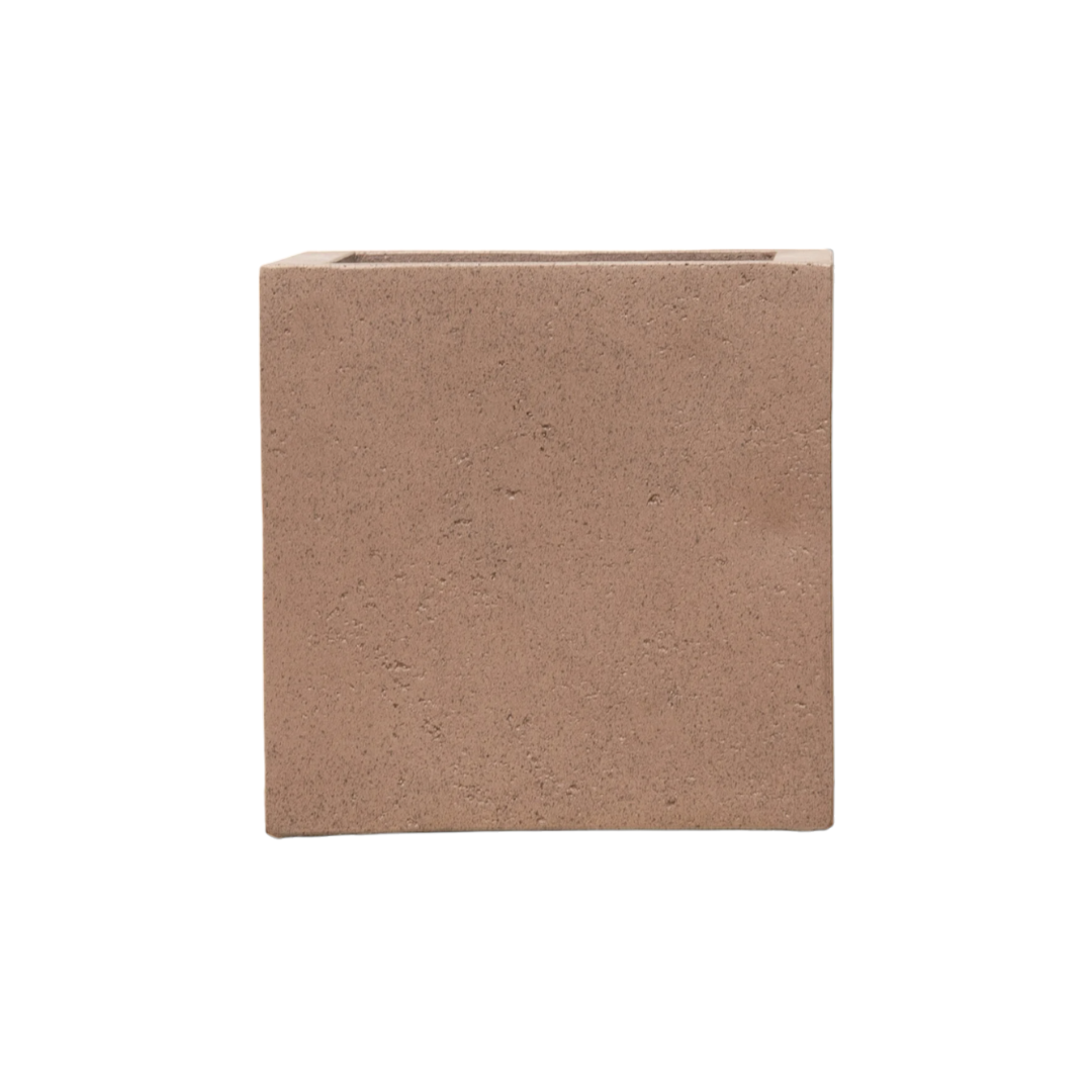 Pot Grigio Cube Bronze en pot  Hauteur 60cm. Plante verte type Pot Grigio Cube Bronze, livrée en pot, idéale pour intérieur lumineux.