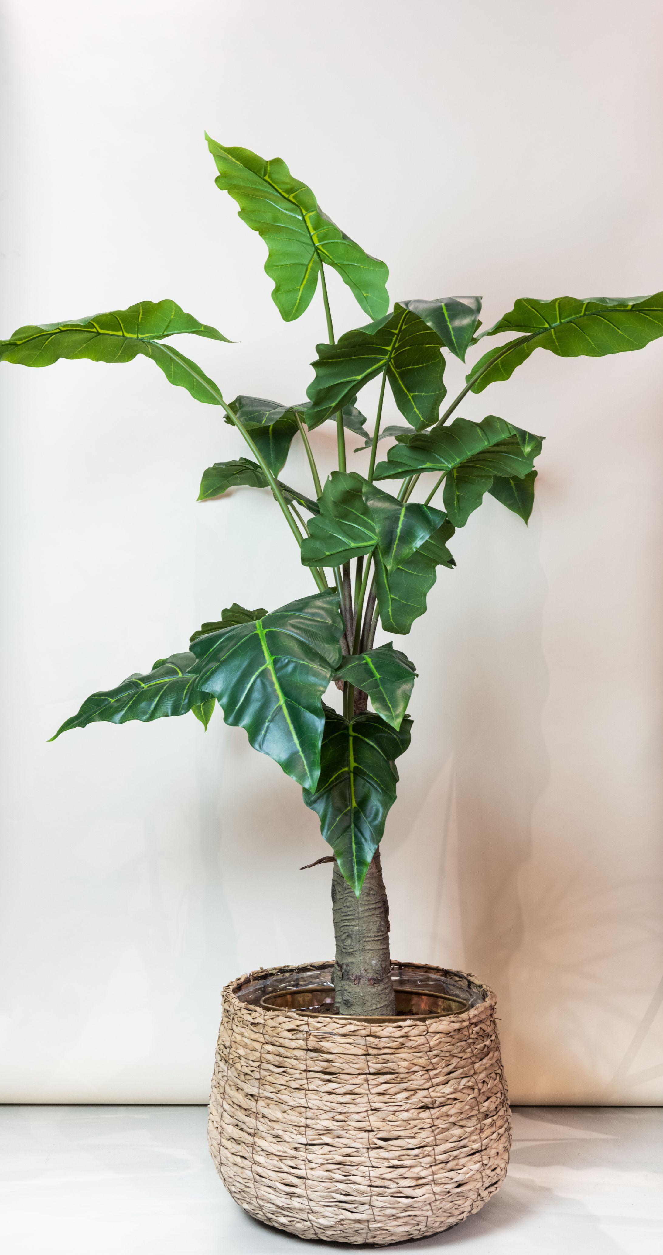 Kunstplant en pot. Plante verte type Kunstplant, livrée en pot, idéale pour intérieur lumineux.