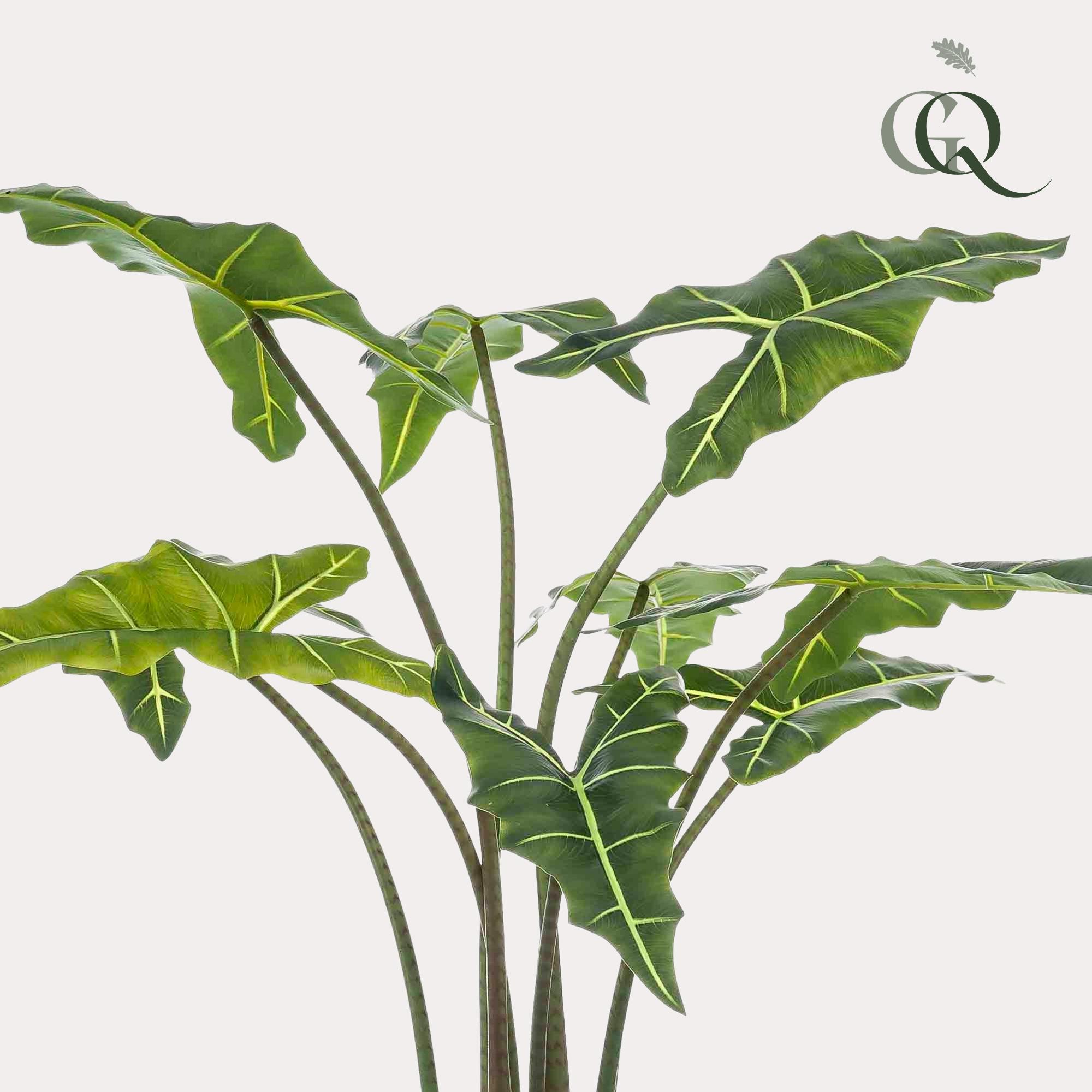 Kunstplant en pot. Plante verte type Kunstplant, livrée en pot, idéale pour intérieur lumineux. – Image 2