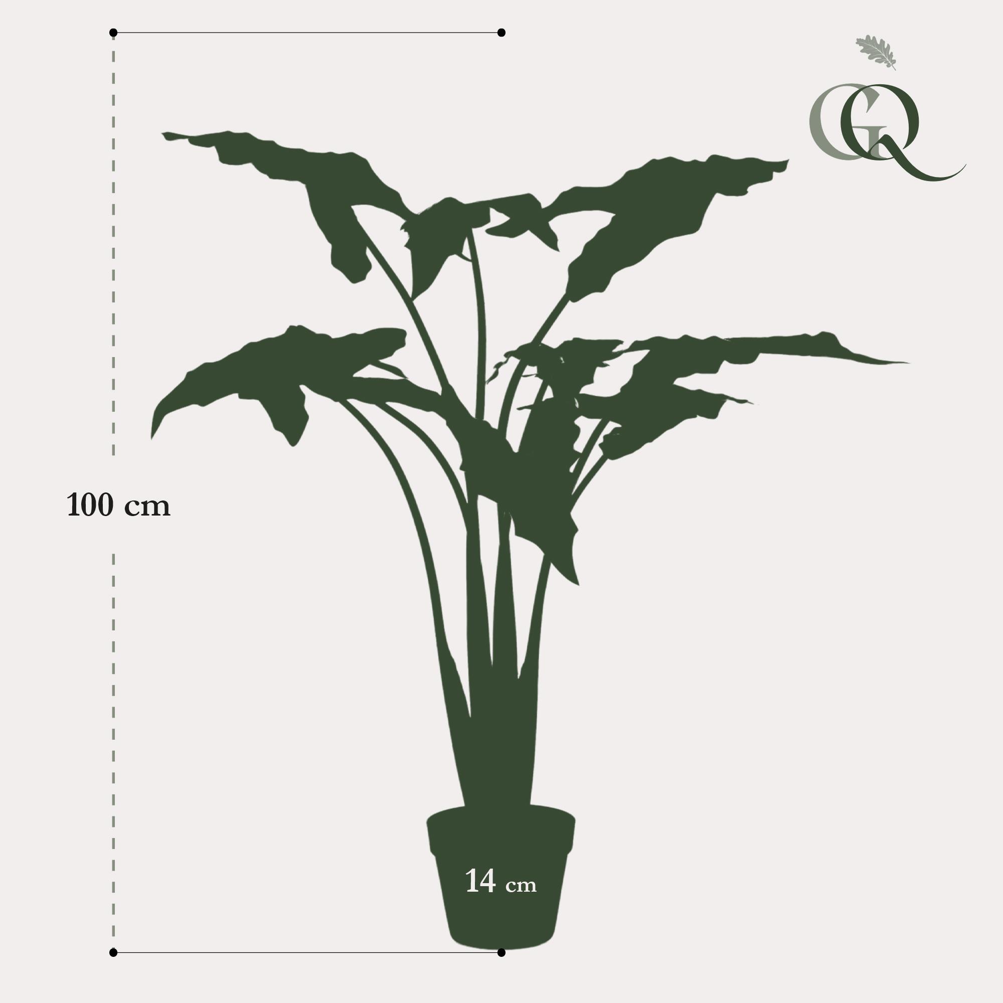Kunstplant en pot. Plante verte type Kunstplant, livrée en pot, idéale pour intérieur lumineux. – Image 3