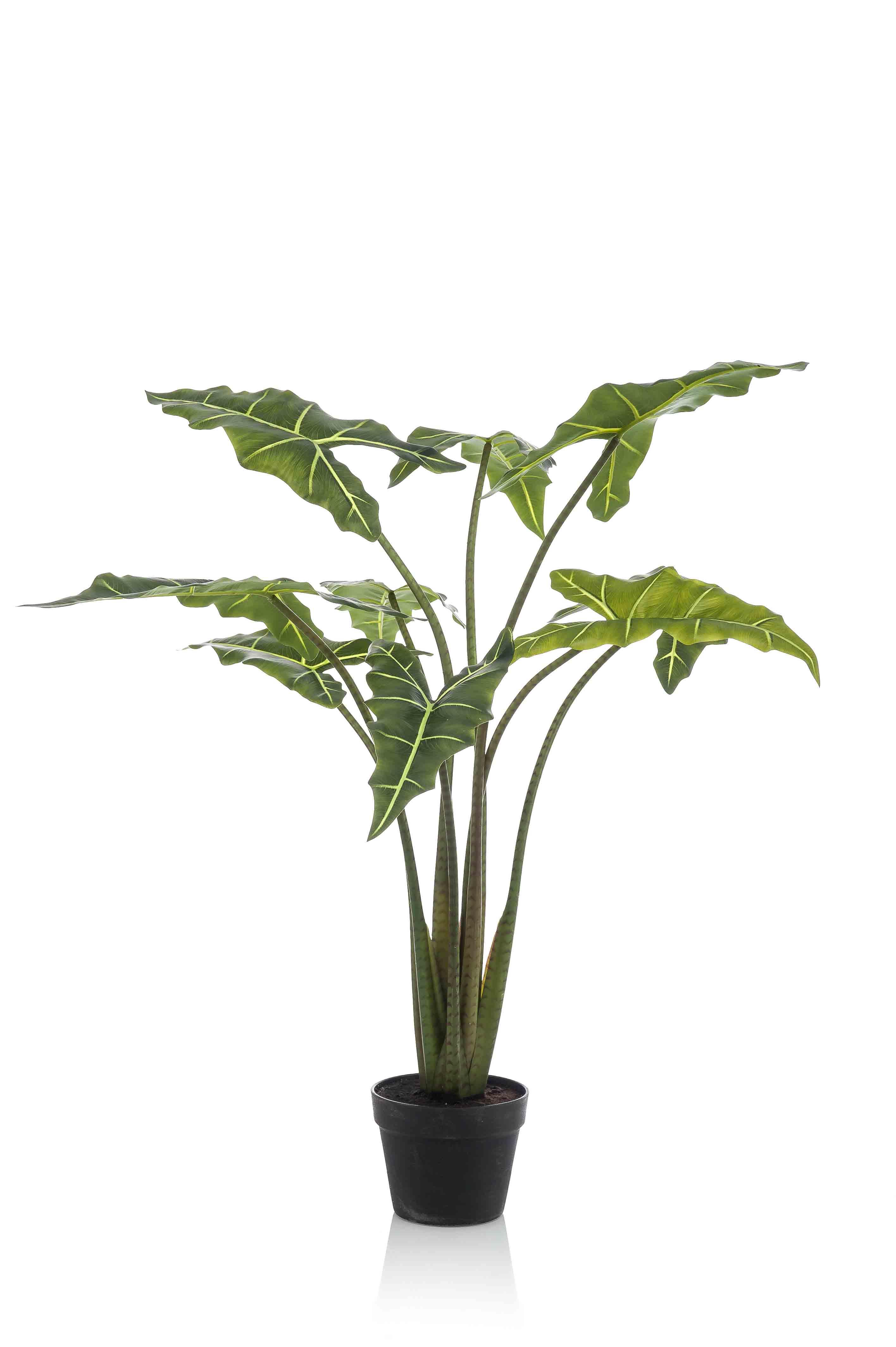 Kunstplant en pot. Plante verte type Kunstplant, livrée en pot, idéale pour intérieur lumineux. – Image 4