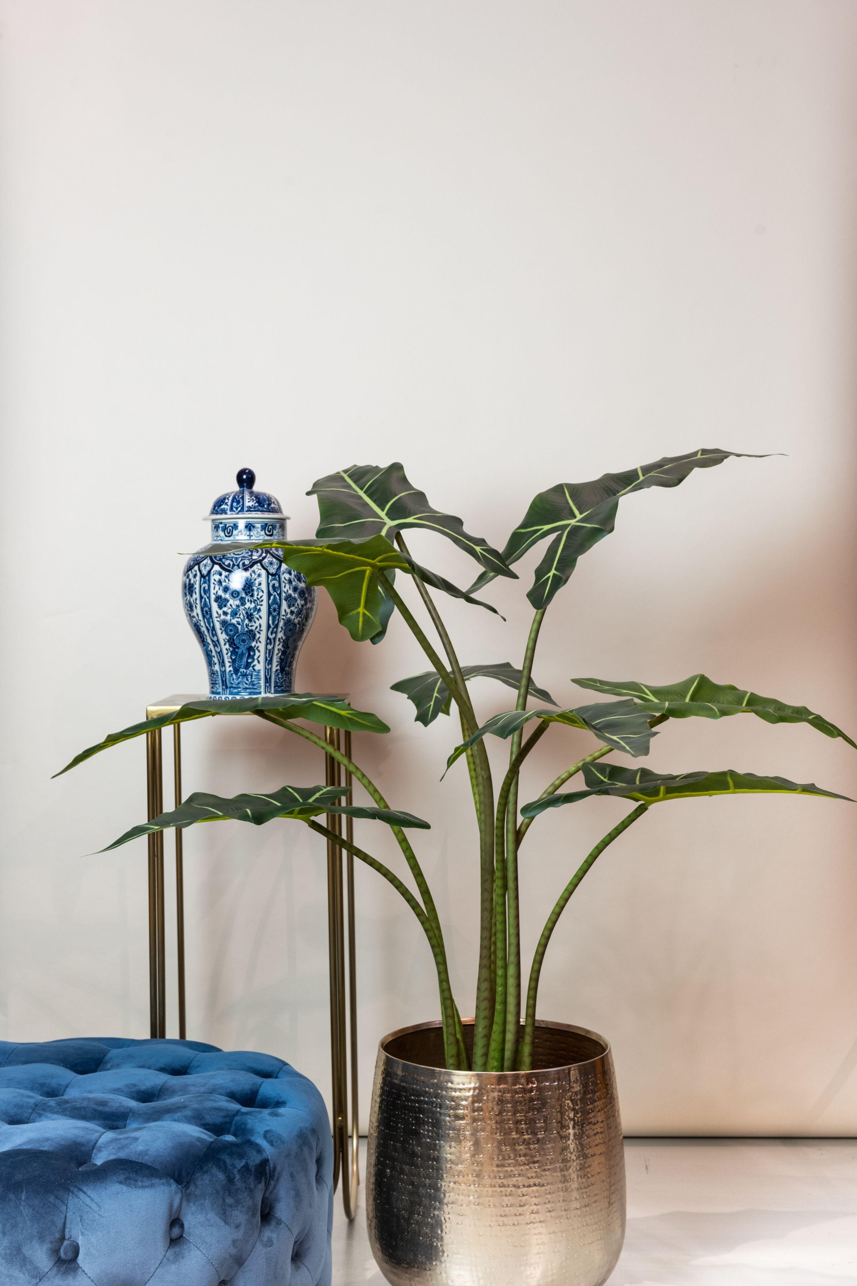 Kunstplant en pot. Plante verte type Kunstplant, livrée en pot, idéale pour intérieur lumineux. – Image 5