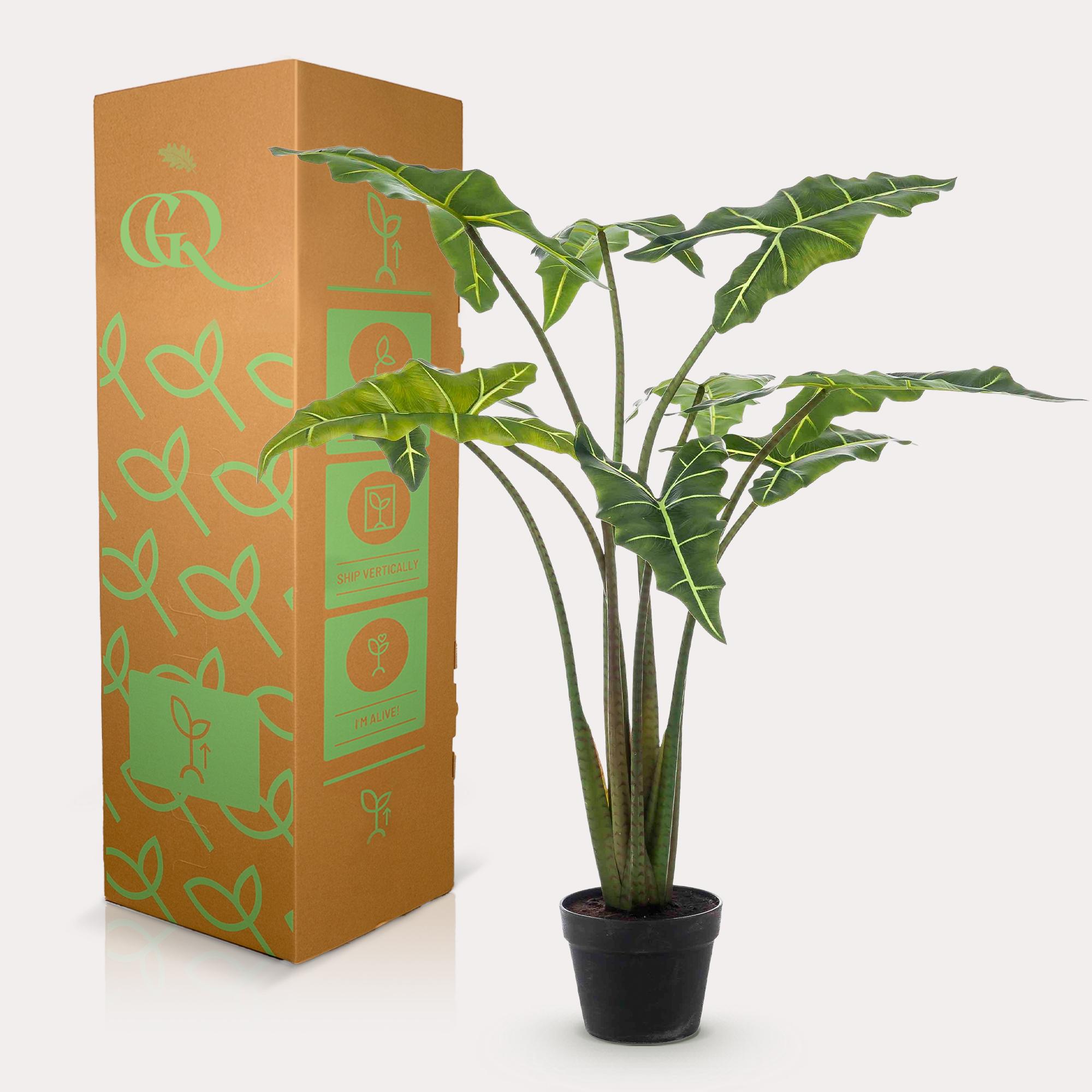 Kunstplant en pot. Plante verte type Kunstplant, livrée en pot, idéale pour intérieur lumineux. – Image 6