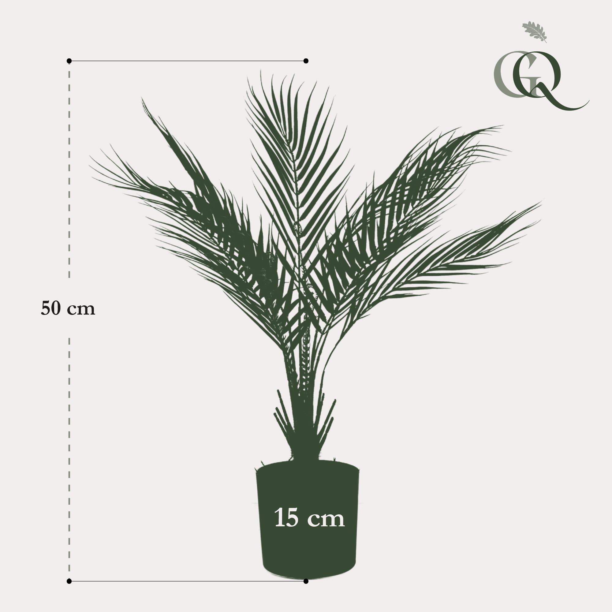Kunstplant en pot. Plante verte type Kunstplant, livrée en pot, idéale pour intérieur lumineux. – Image 3