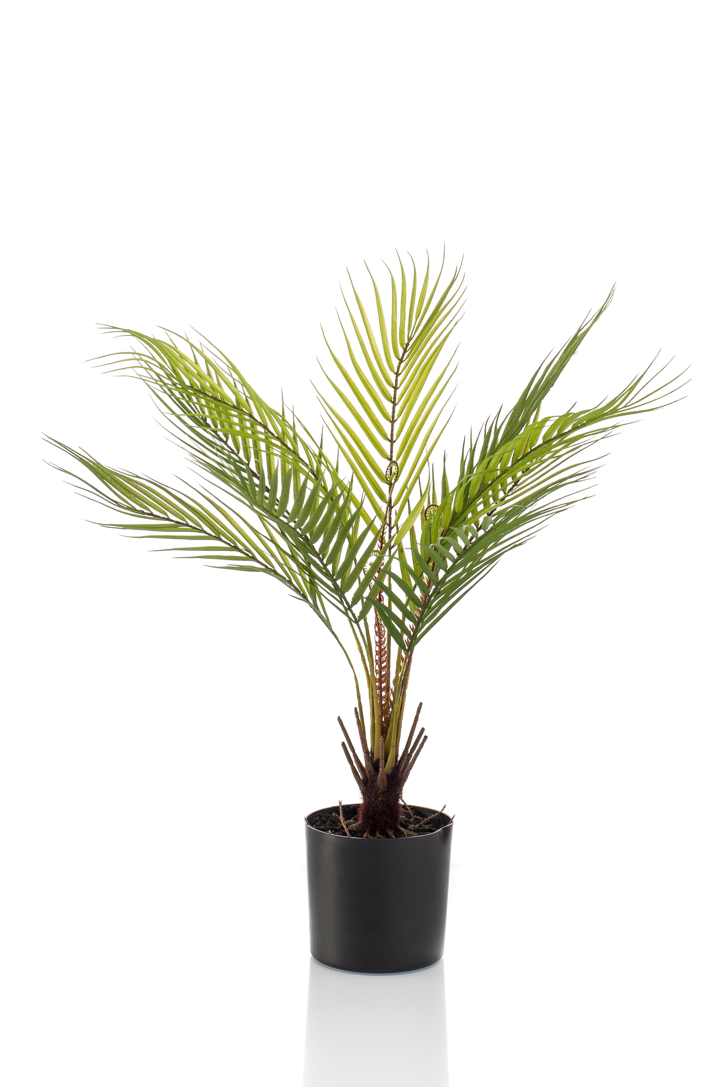 Kunstplant en pot. Plante verte type Kunstplant, livrée en pot, idéale pour intérieur lumineux. – Image 4