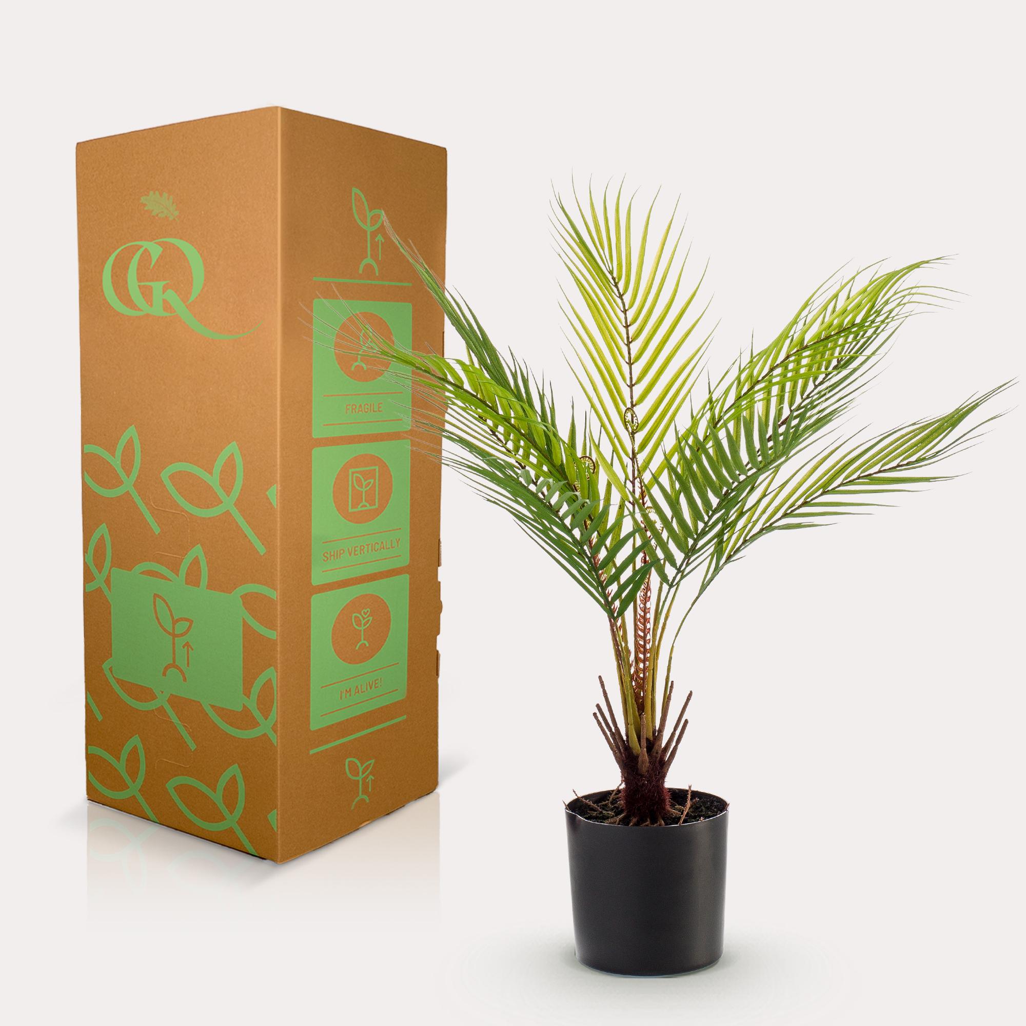 Kunstplant en pot. Plante verte type Kunstplant, livrée en pot, idéale pour intérieur lumineux. – Image 6