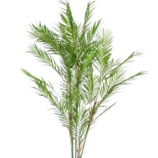 Kunstplant en pot. Plante verte type Kunstplant, livrée en pot, idéale pour intérieur lumineux.