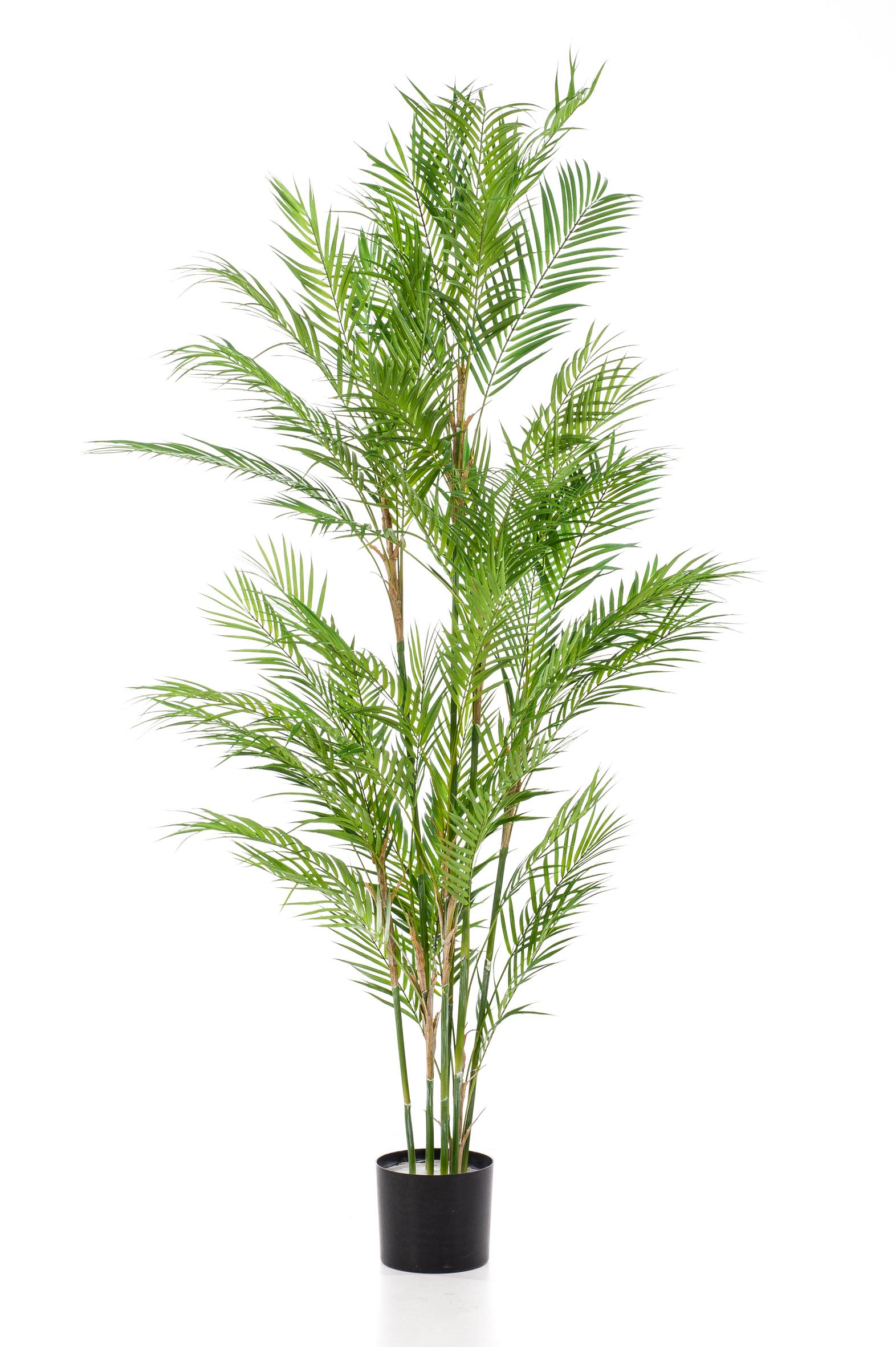 Kunstplant en pot. Plante verte type Kunstplant, livrée en pot, idéale pour intérieur lumineux.