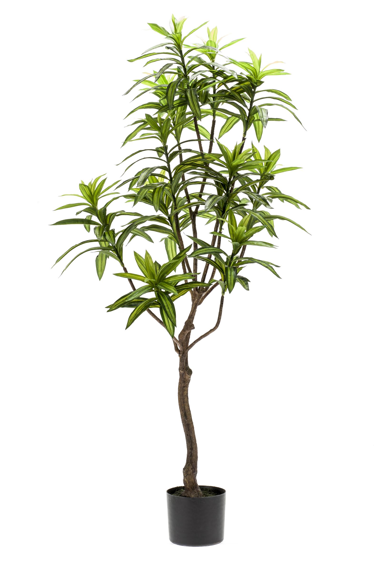 Kunstplant en pot. Plante verte type Kunstplant, livrée en pot, idéale pour intérieur lumineux. – Image 4