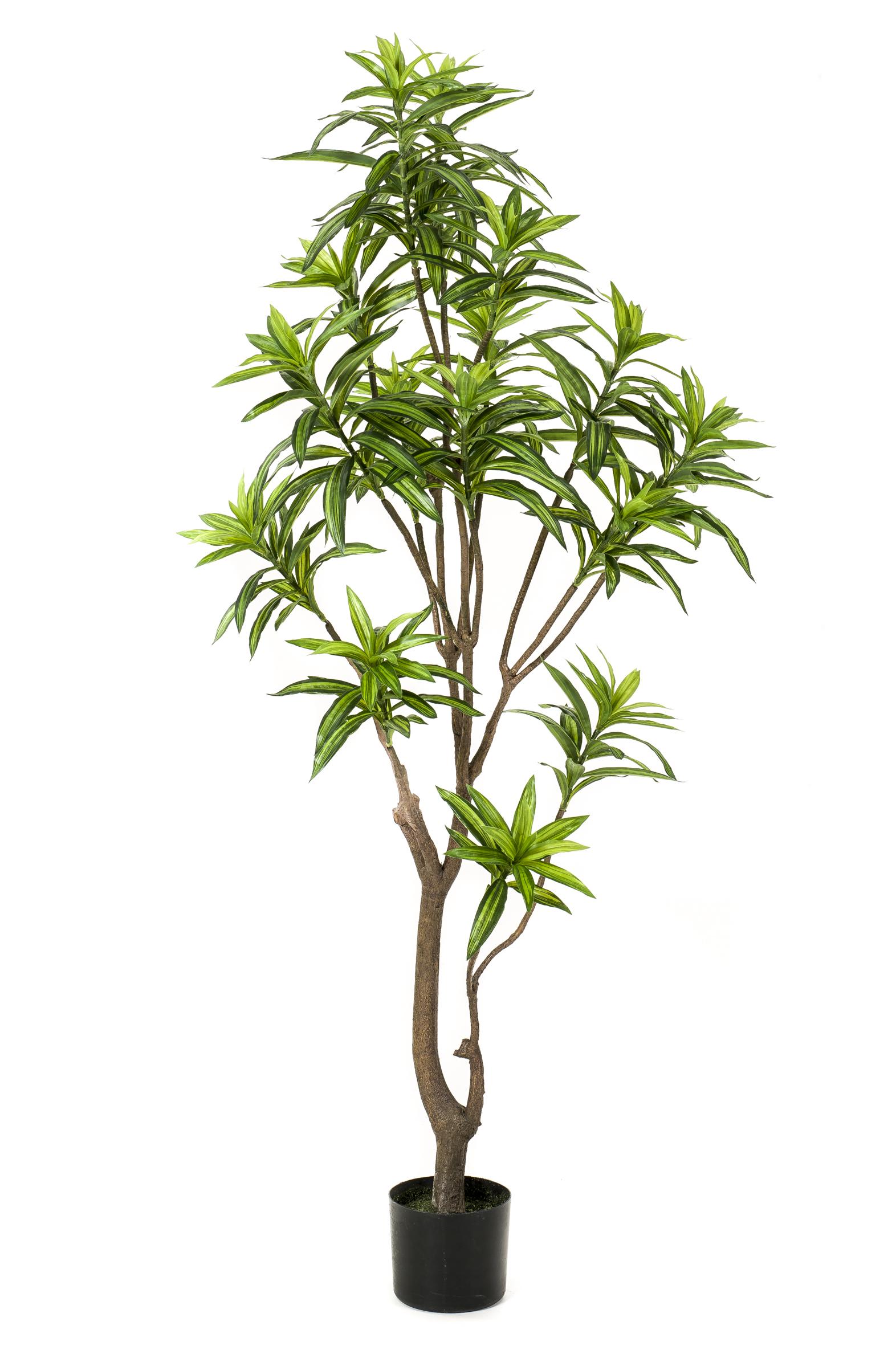 Kunstplant en pot. Plante verte type Kunstplant, livrée en pot, idéale pour intérieur lumineux. – Image 4