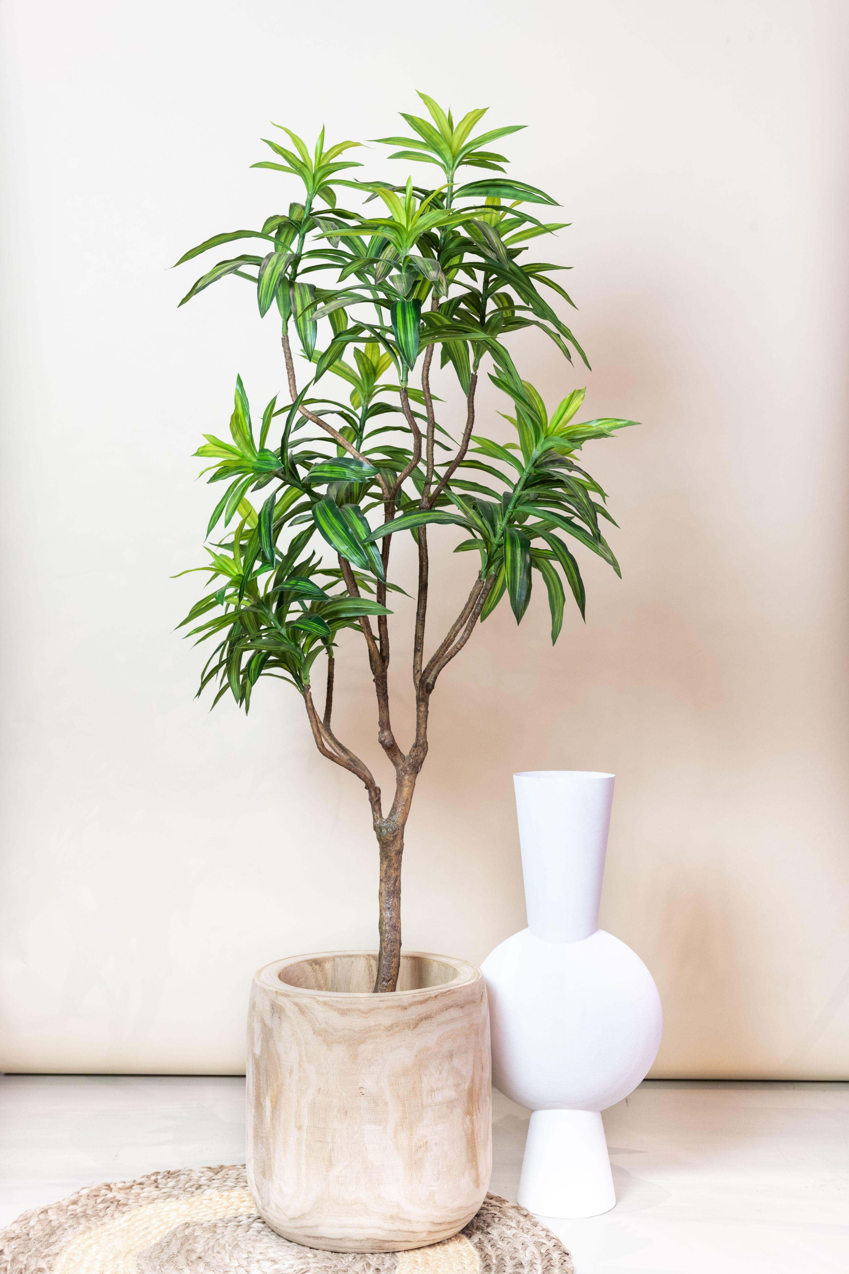 Kunstplant en pot. Plante verte type Kunstplant, livrée en pot, idéale pour intérieur lumineux. – Image 5