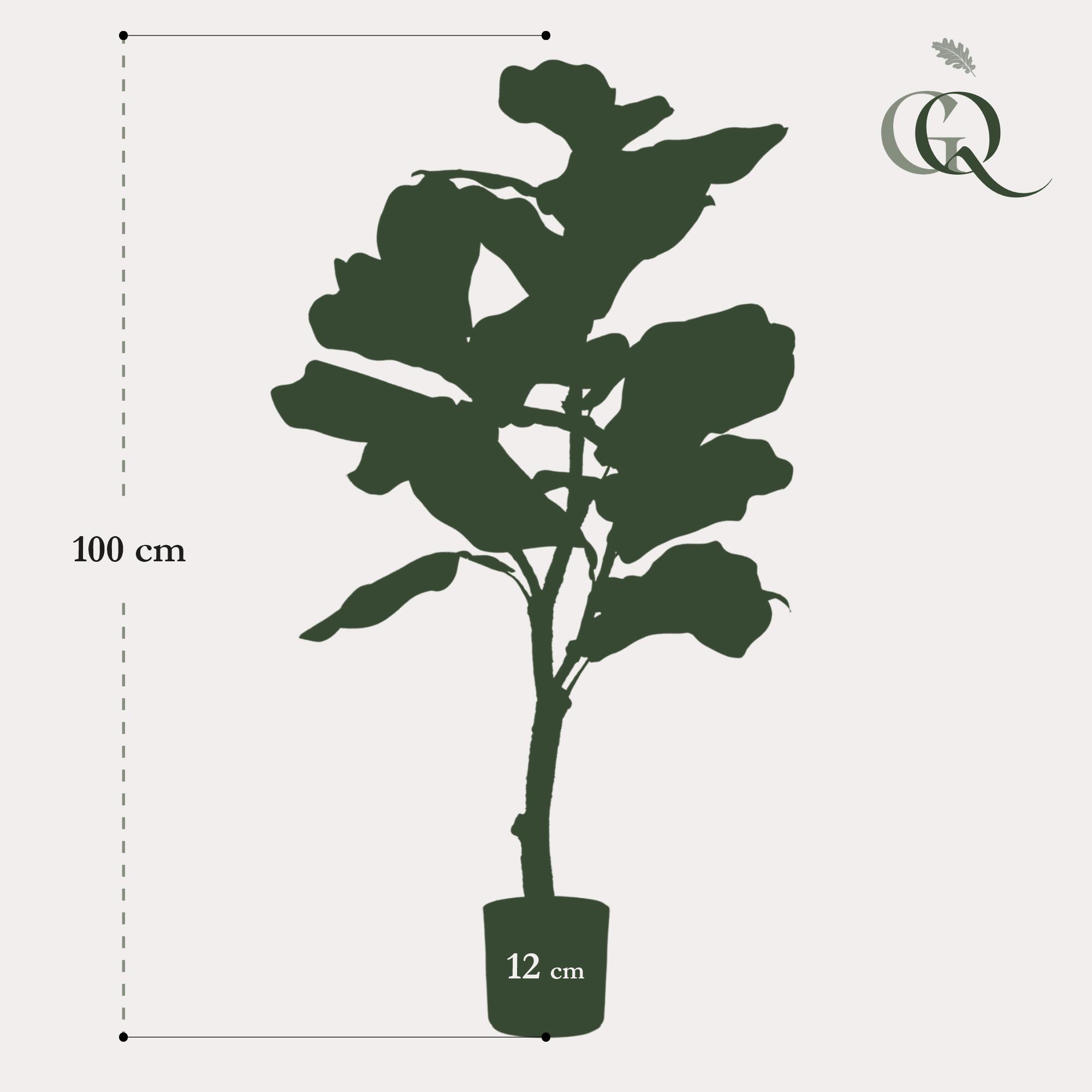 Kunstplant en pot. Plante verte type Kunstplant, livrée en pot, idéale pour intérieur lumineux. – Image 3