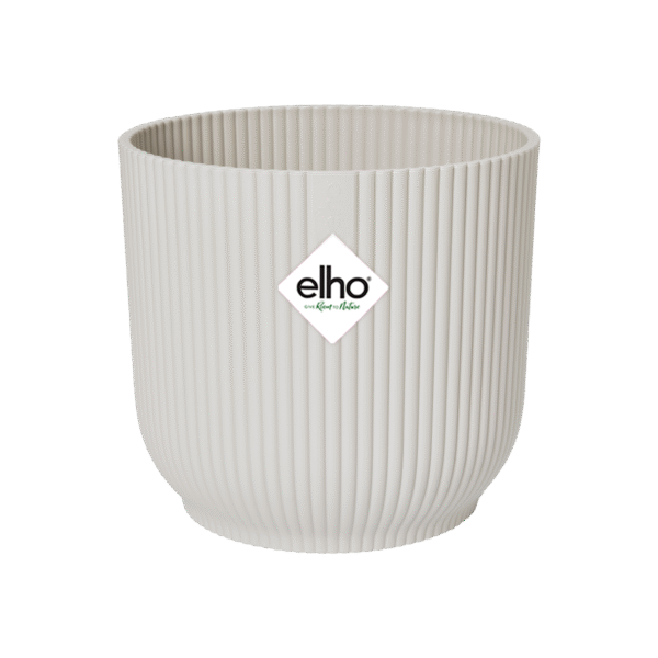 Pot elho Vibes Fold Round wit en pot  Hauteur 23cm. Plante verte type Pot elho Vibes Fold Round wit, livrée en pot, idéale pour intérieur lumineux. – Image 2