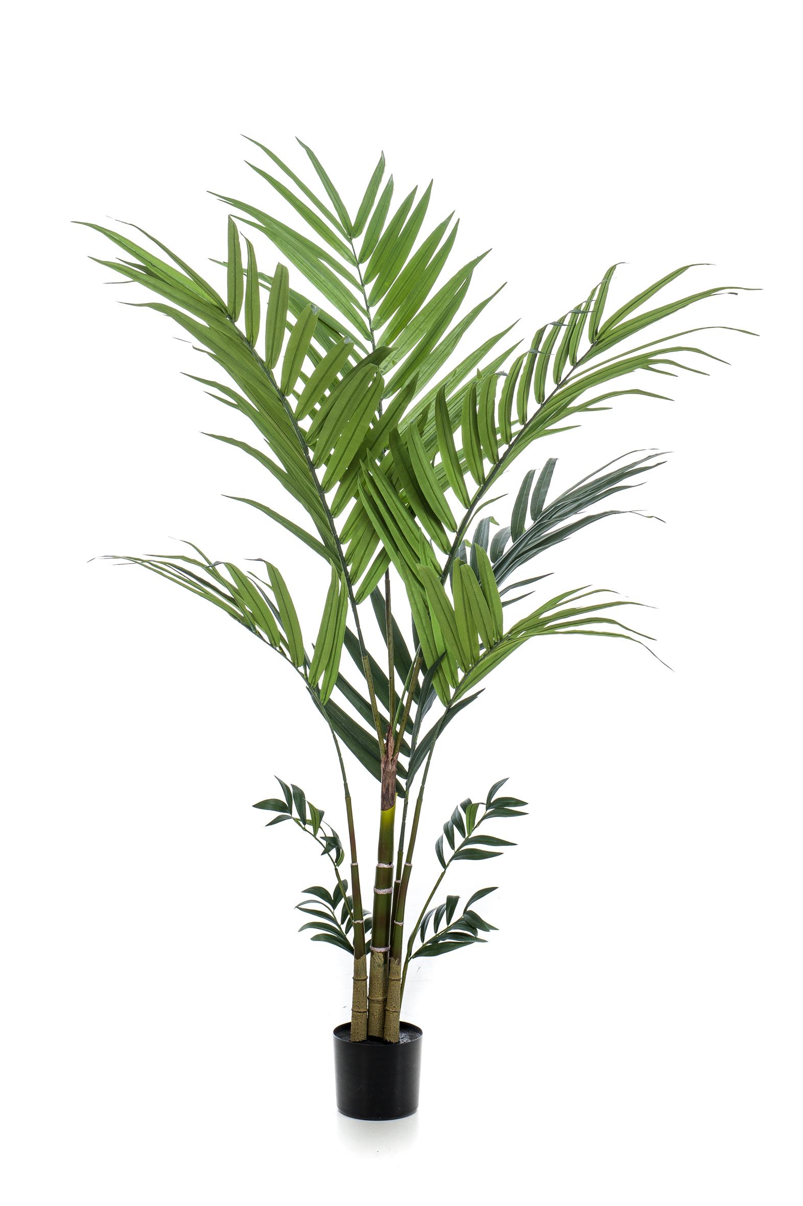 Kunstplant en pot. Plante verte type Kunstplant, livrée en pot, idéale pour intérieur lumineux. – Image 4