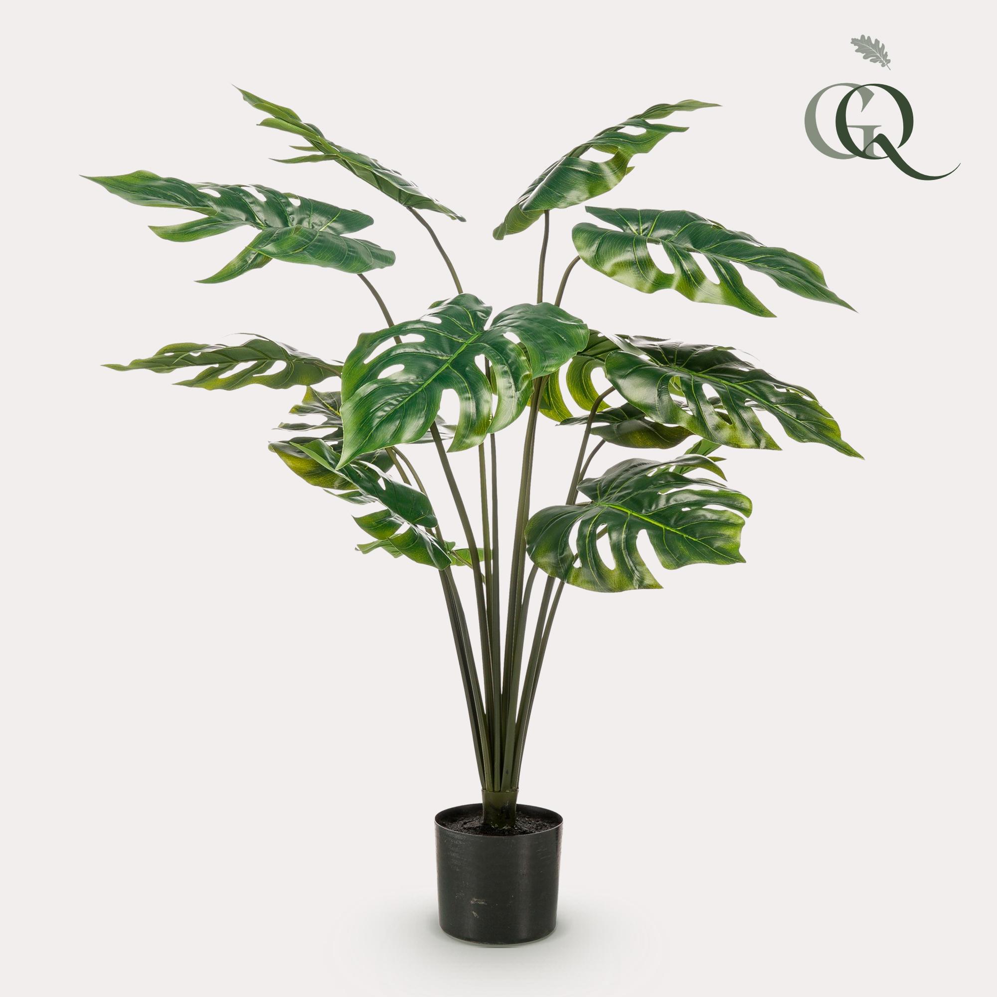 Monstera Deliciosa en pot. Plante verte type Monstera Deliciosa, livrée en pot, idéale pour intérieur lumineux.