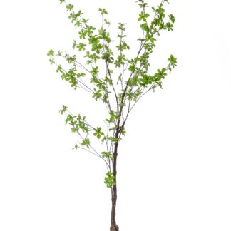 Kunstplant en pot. Plante verte type Kunstplant, livrée en pot, idéale pour intérieur lumineux.