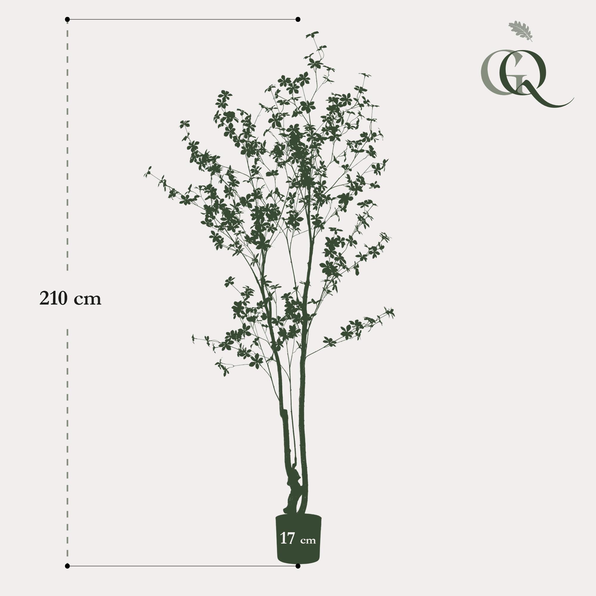 Kunstplant en pot. Plante verte type Kunstplant, livrée en pot, idéale pour intérieur lumineux. – Image 3