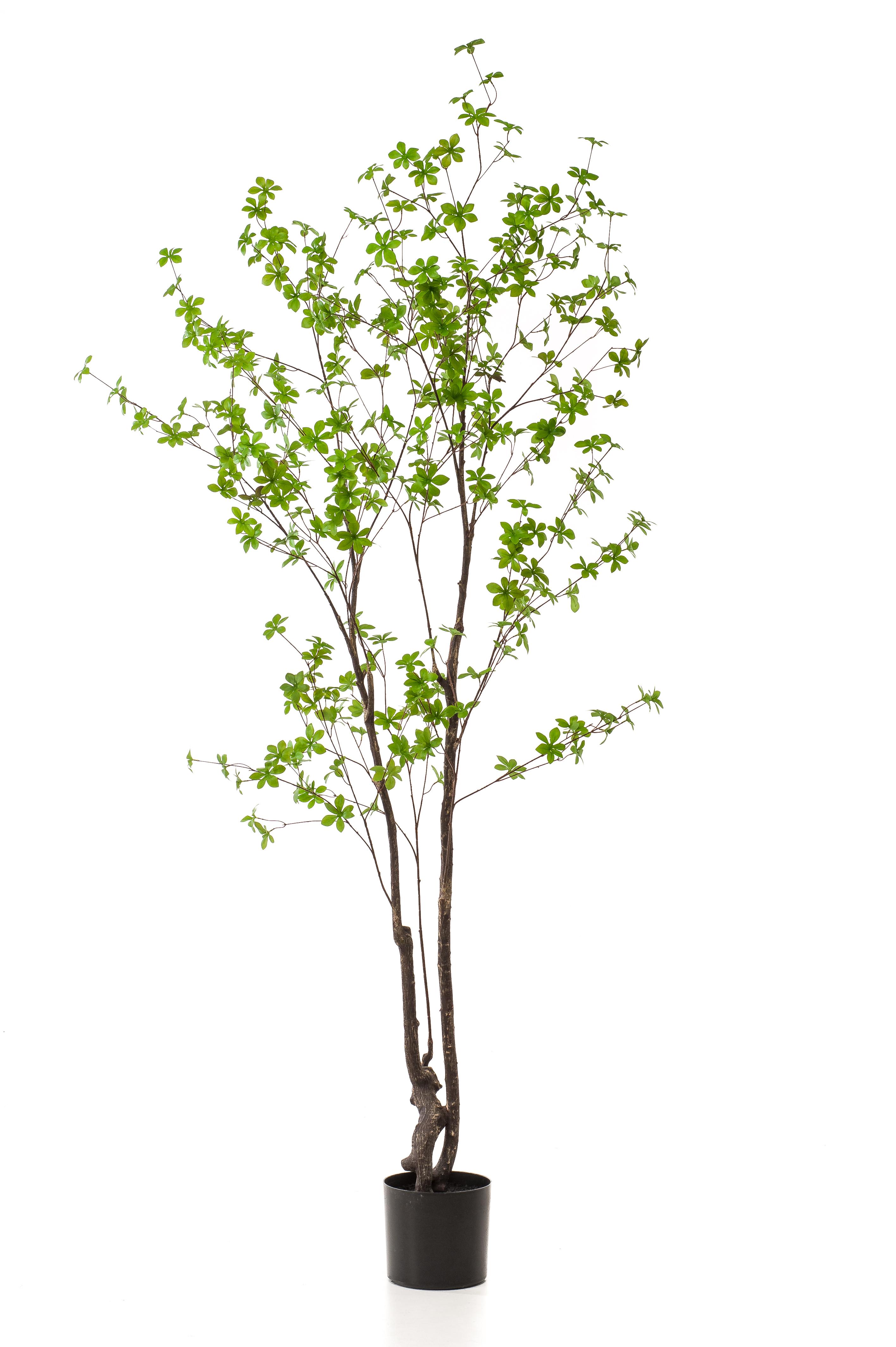 Kunstplant en pot. Plante verte type Kunstplant, livrée en pot, idéale pour intérieur lumineux. – Image 4