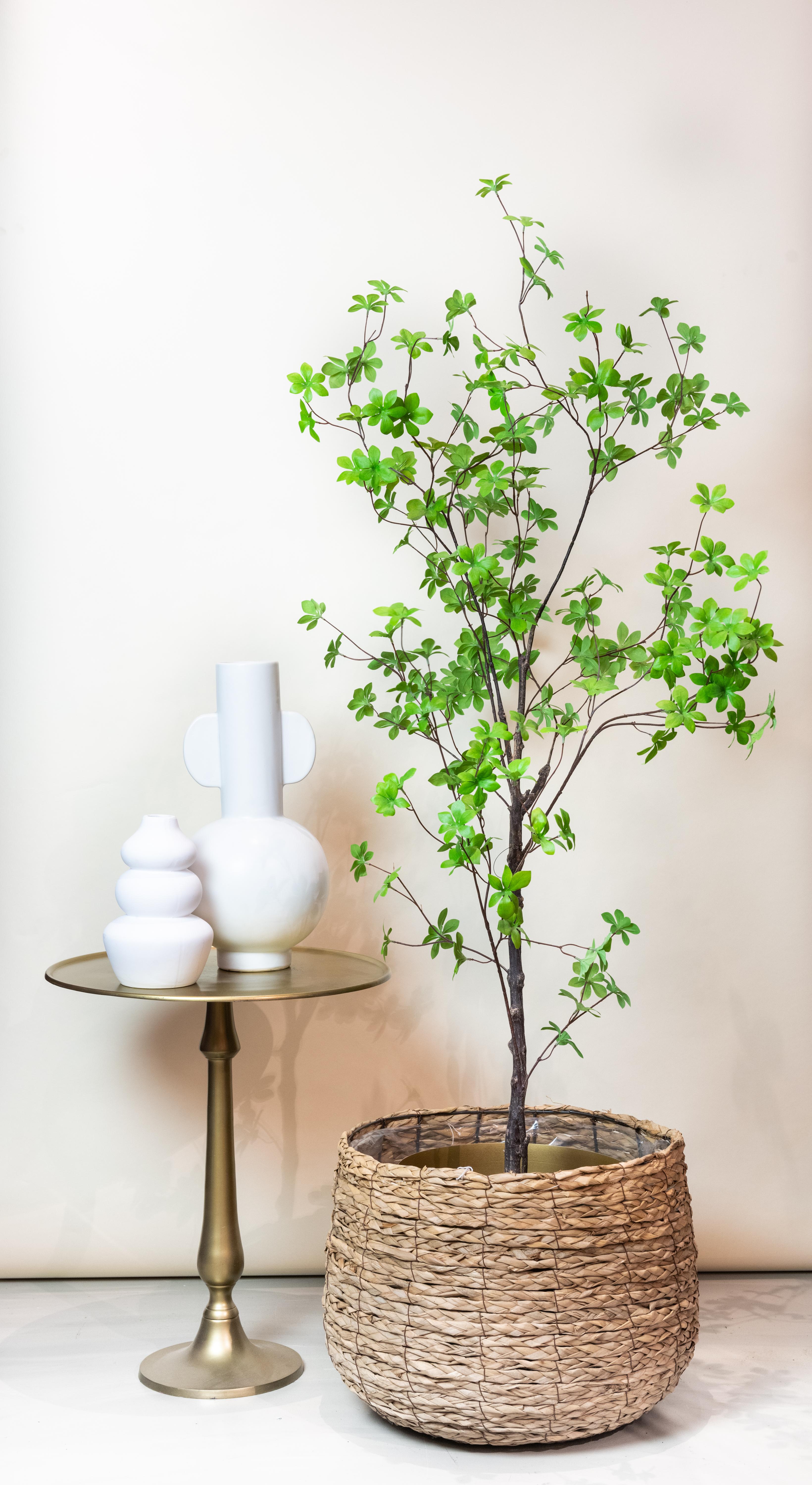 Kunstplant en pot. Plante verte type Kunstplant, livrée en pot, idéale pour intérieur lumineux. – Image 5