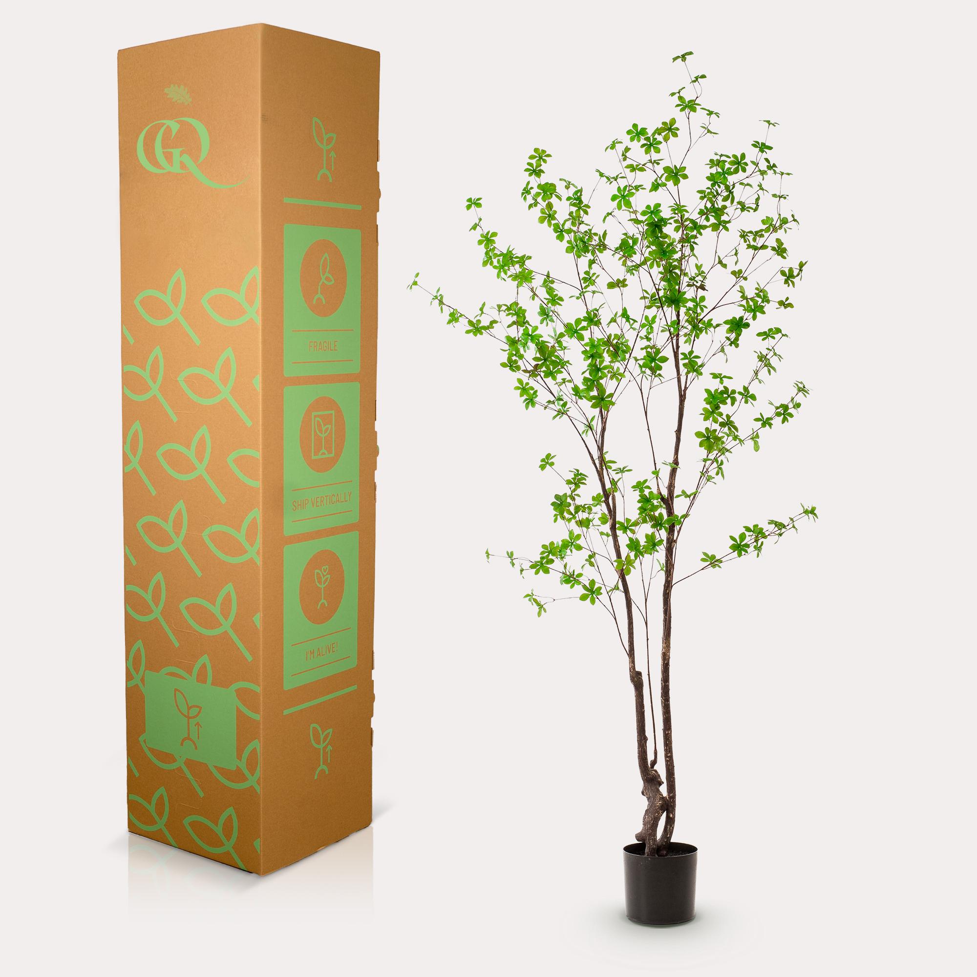 Kunstplant en pot. Plante verte type Kunstplant, livrée en pot, idéale pour intérieur lumineux. – Image 6