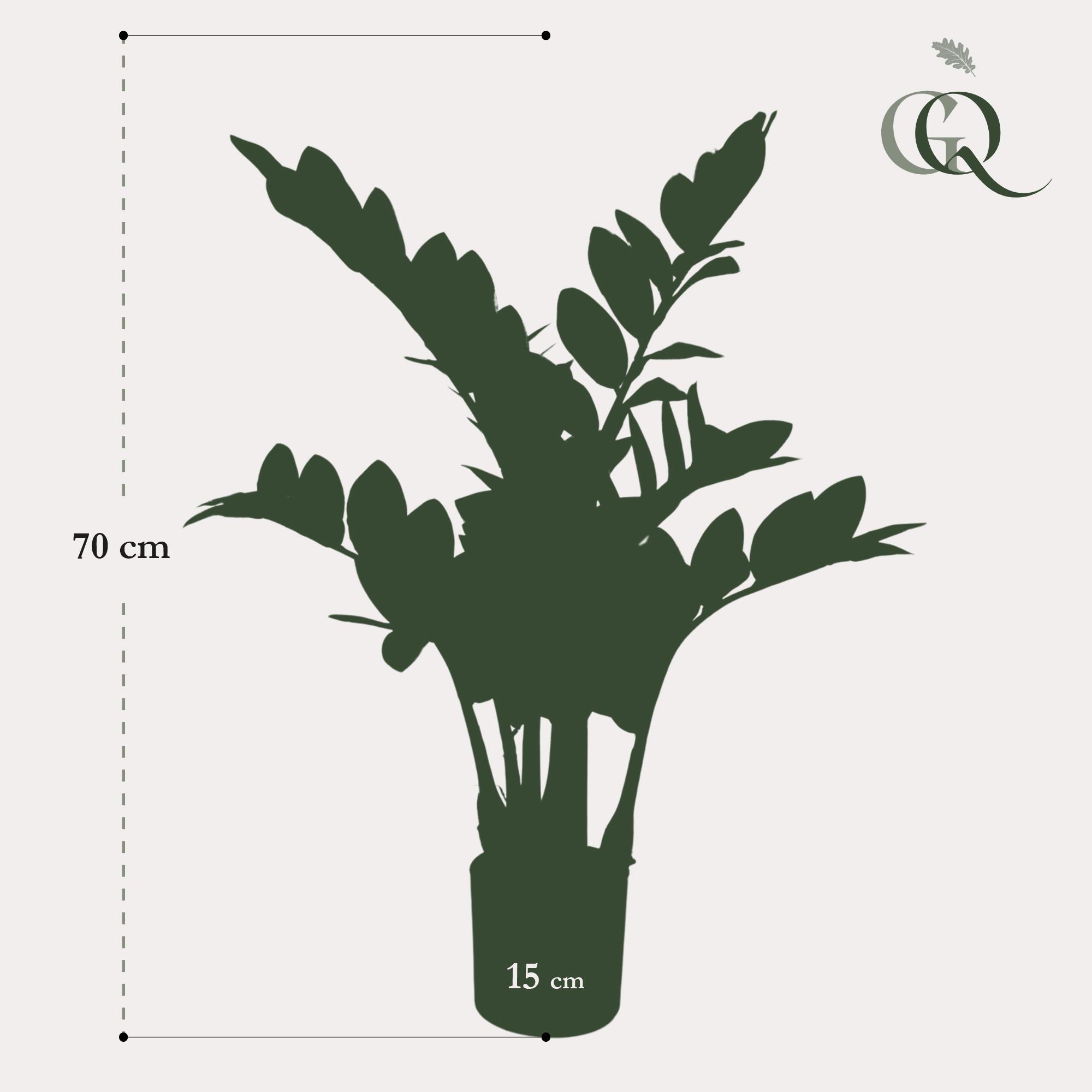 Kunstplant en pot. Plante verte type Kunstplant, livrée en pot, idéale pour intérieur lumineux. – Image 4