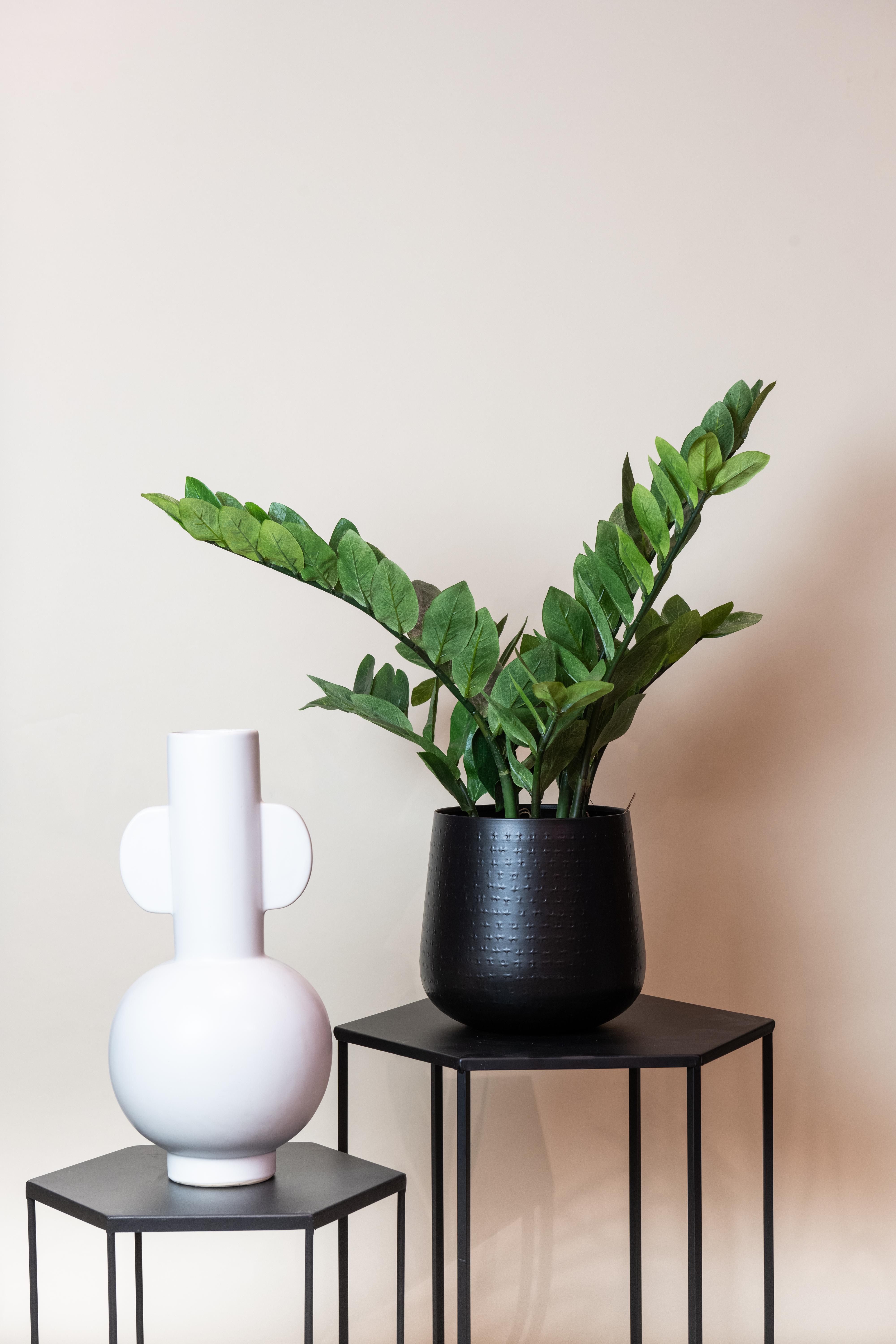 Kunstplant en pot. Plante verte type Kunstplant, livrée en pot, idéale pour intérieur lumineux. – Image 5
