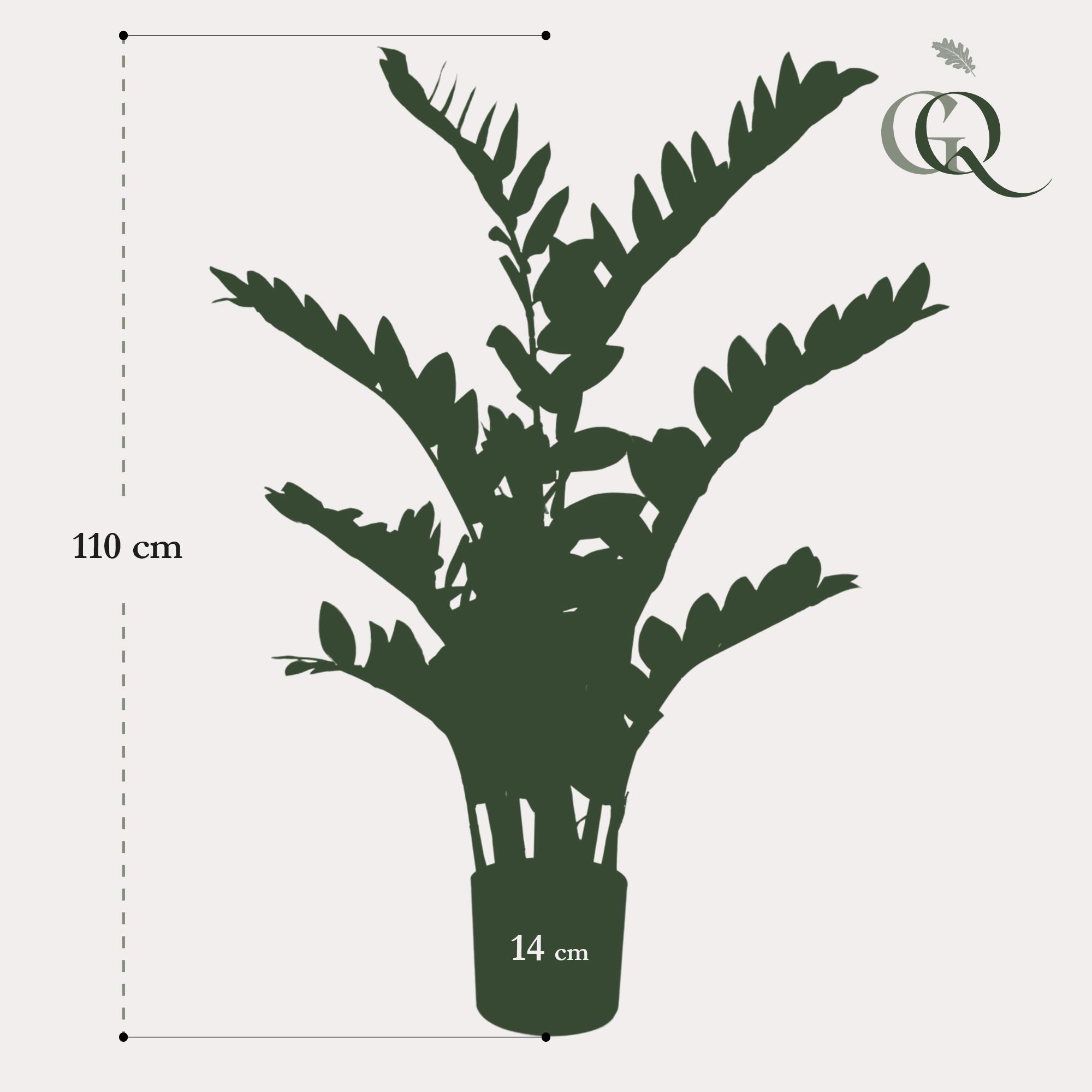 Kunstplant en pot. Plante verte type Kunstplant, livrée en pot, idéale pour intérieur lumineux. – Image 4