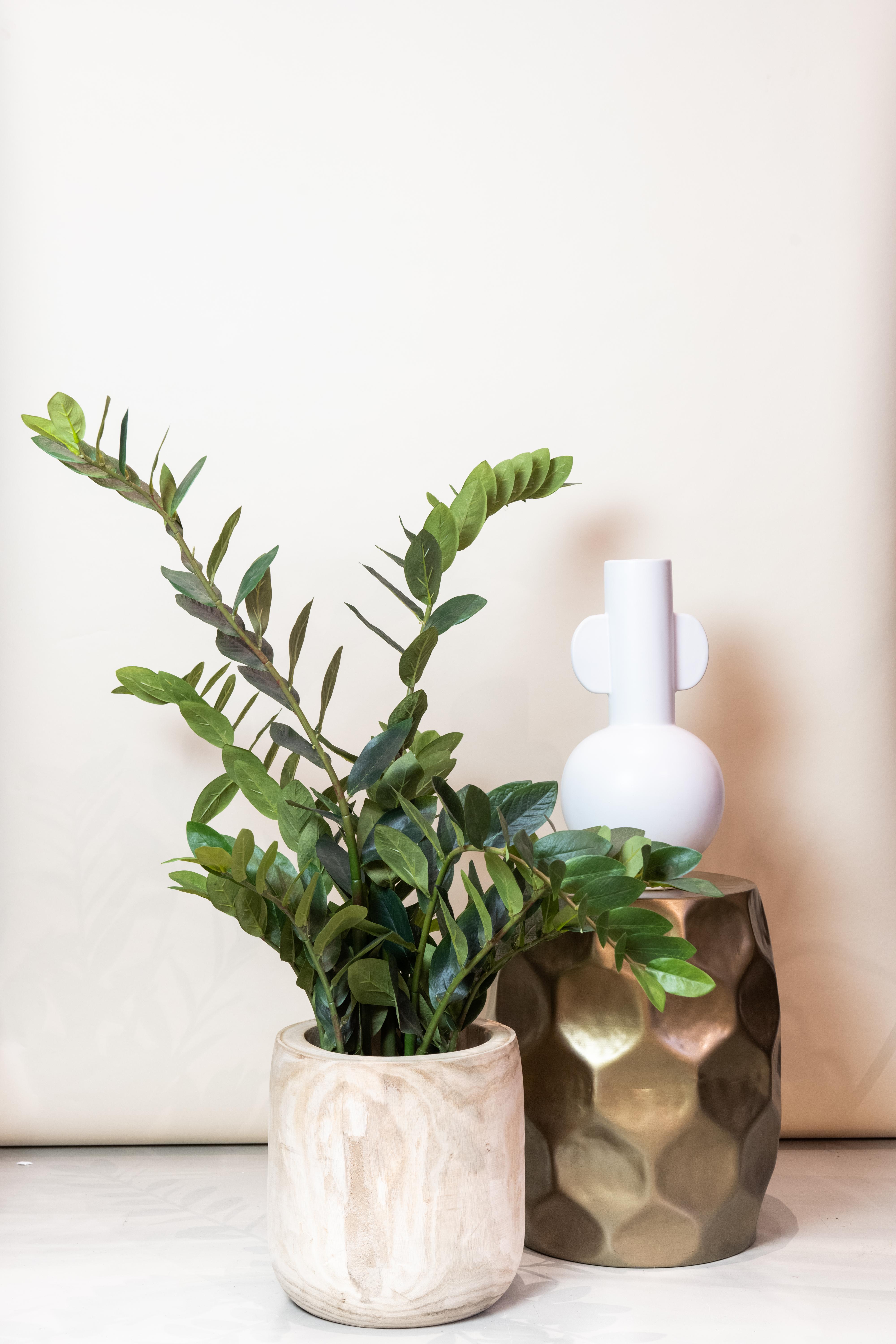 Kunstplant en pot. Plante verte type Kunstplant, livrée en pot, idéale pour intérieur lumineux. – Image 5