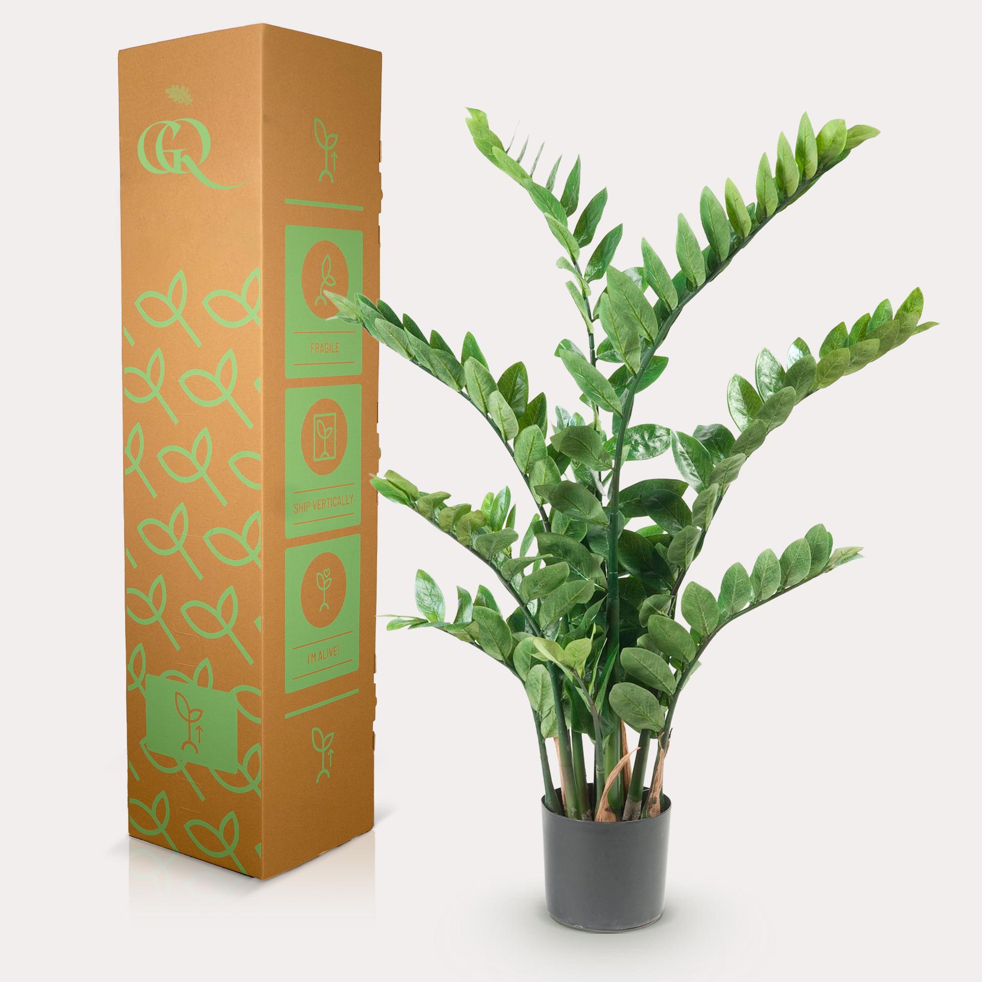 Kunstplant en pot. Plante verte type Kunstplant, livrée en pot, idéale pour intérieur lumineux. – Image 6