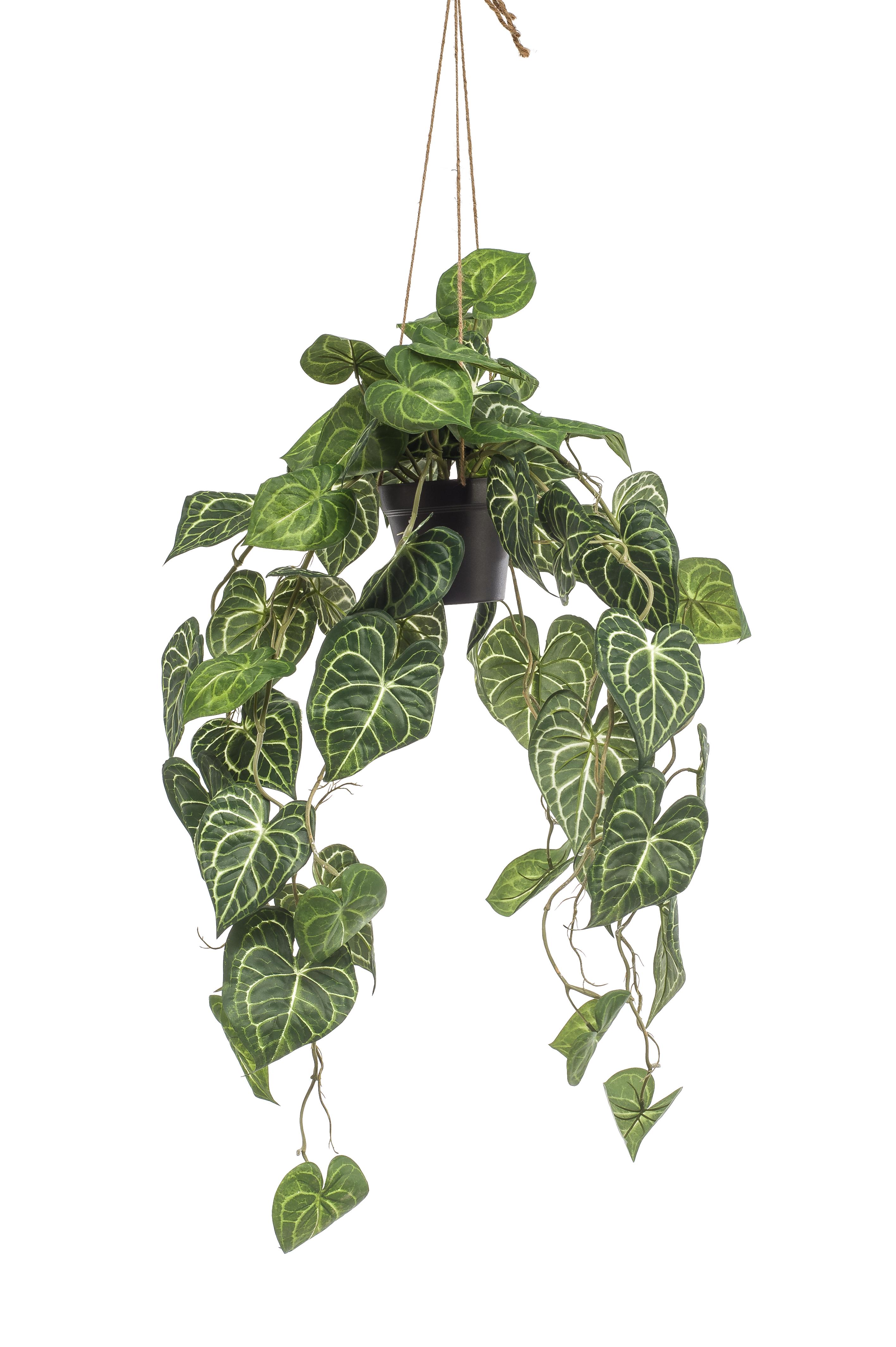 Kunstplant en pot. Plante verte type Kunstplant, livrée en pot, idéale pour intérieur lumineux. – Image 3