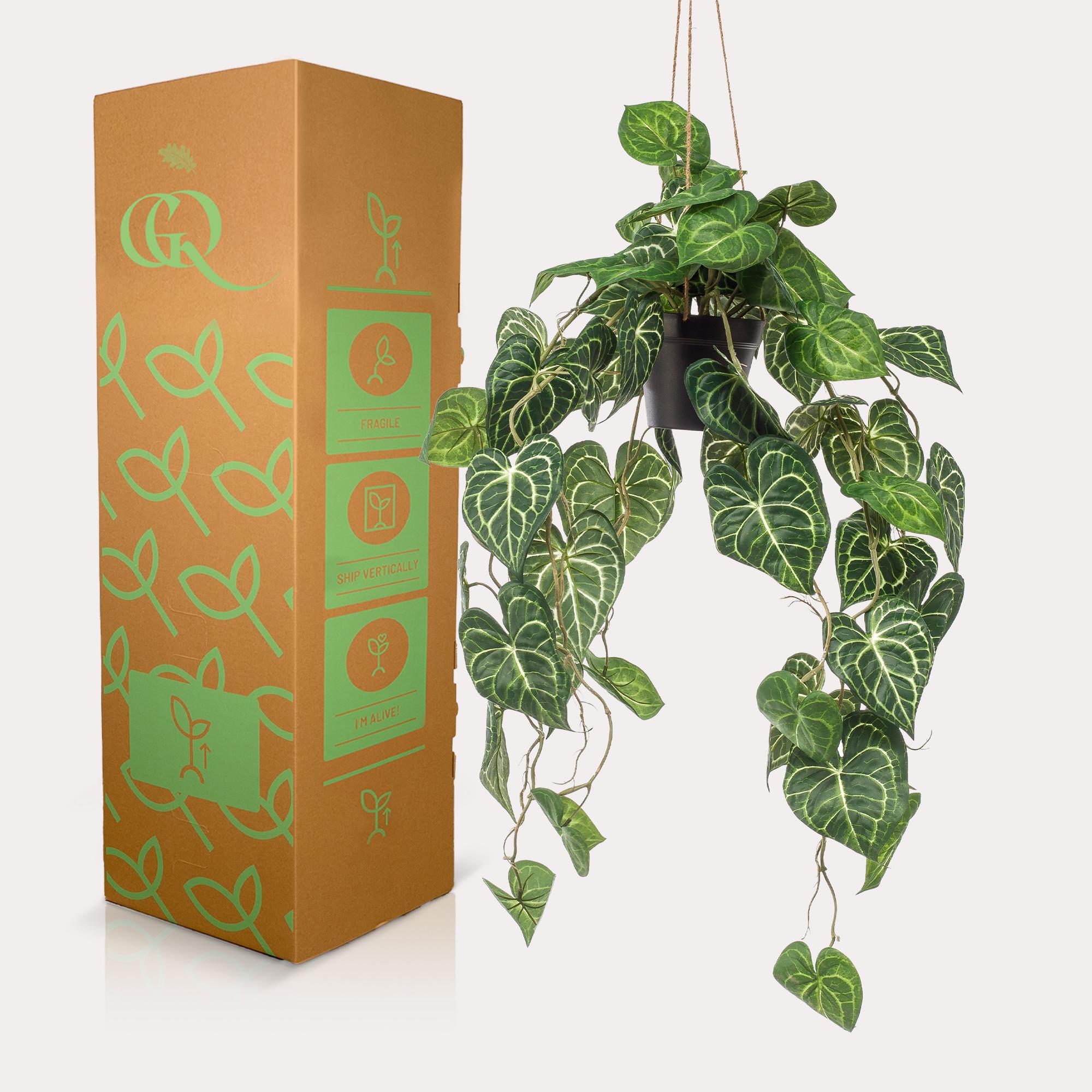 Kunstplant en pot. Plante verte type Kunstplant, livrée en pot, idéale pour intérieur lumineux. – Image 4