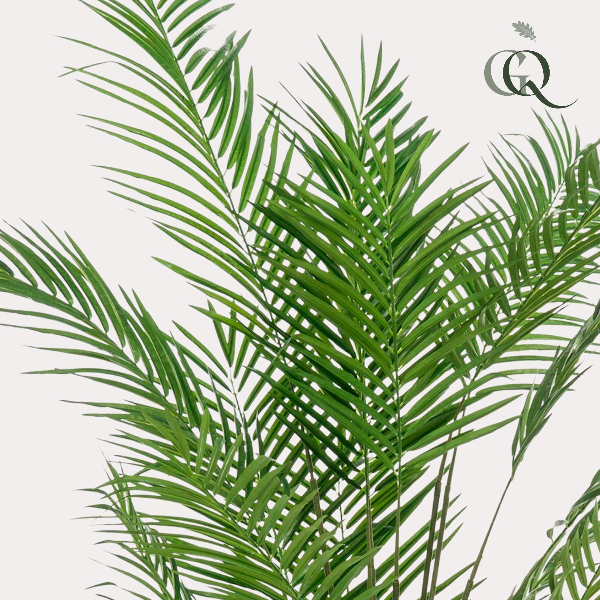 Kunstplant en pot. Plante verte type Kunstplant, livrée en pot, idéale pour intérieur lumineux. – Image 2