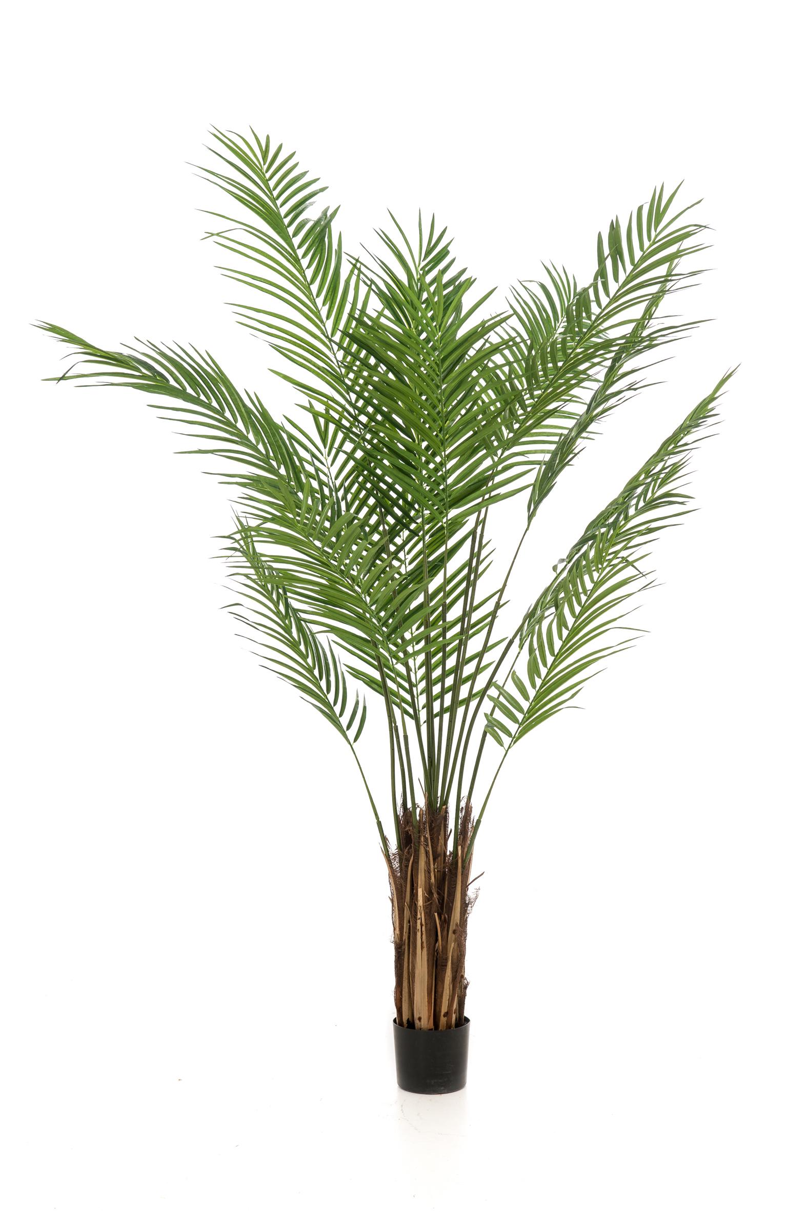 Kunstplant en pot. Plante verte type Kunstplant, livrée en pot, idéale pour intérieur lumineux. – Image 3