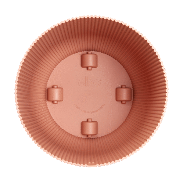 Pot elho Vibes Fold Round roze en pot  Hauteur 33cm. Plante verte type Pot elho Vibes Fold Round roze, livrée en pot, idéale pour intérieur lumineux. – Image 3