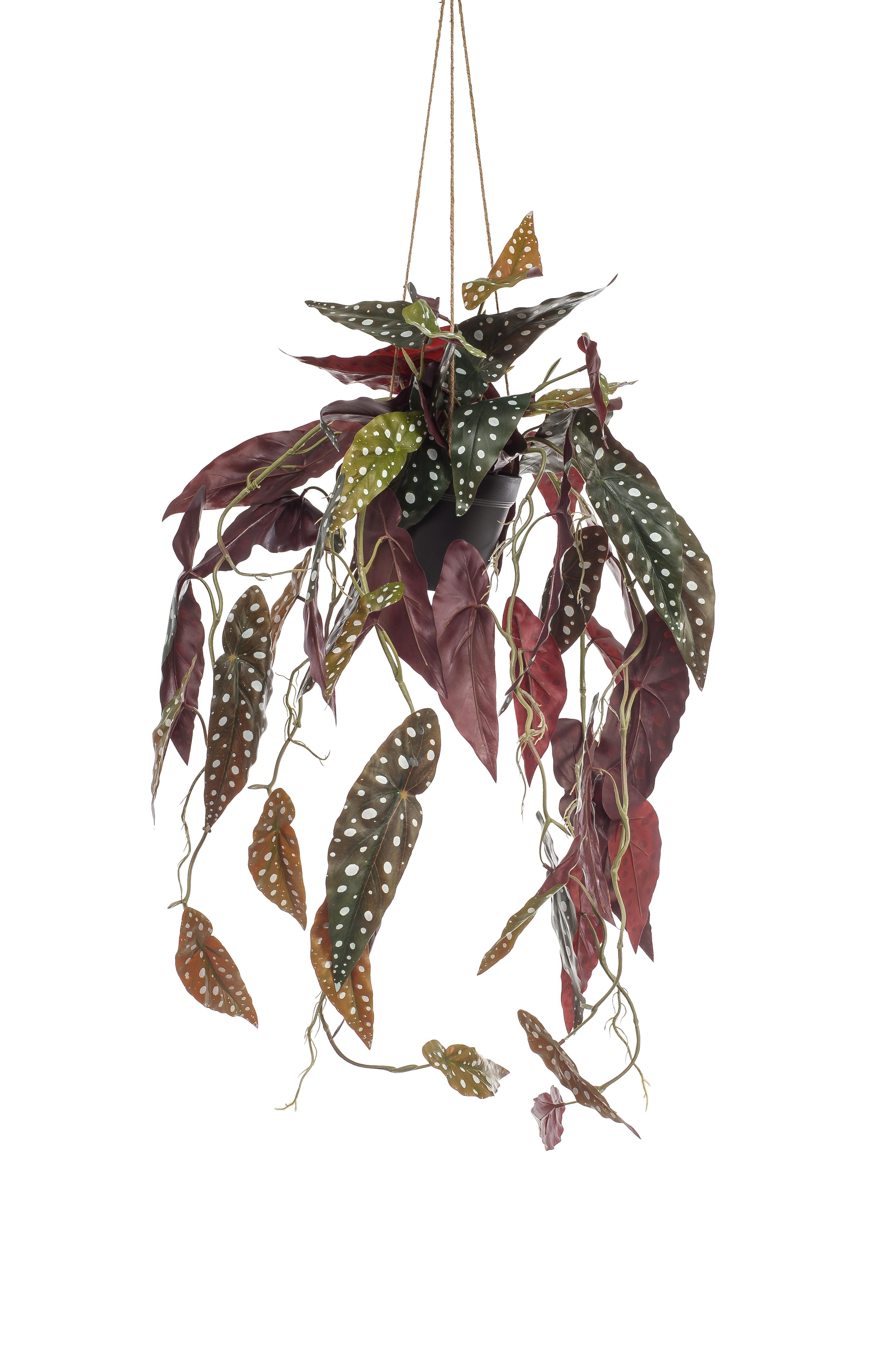 Kunstplant en pot. Plante verte type Kunstplant, livrée en pot, idéale pour intérieur lumineux. – Image 3