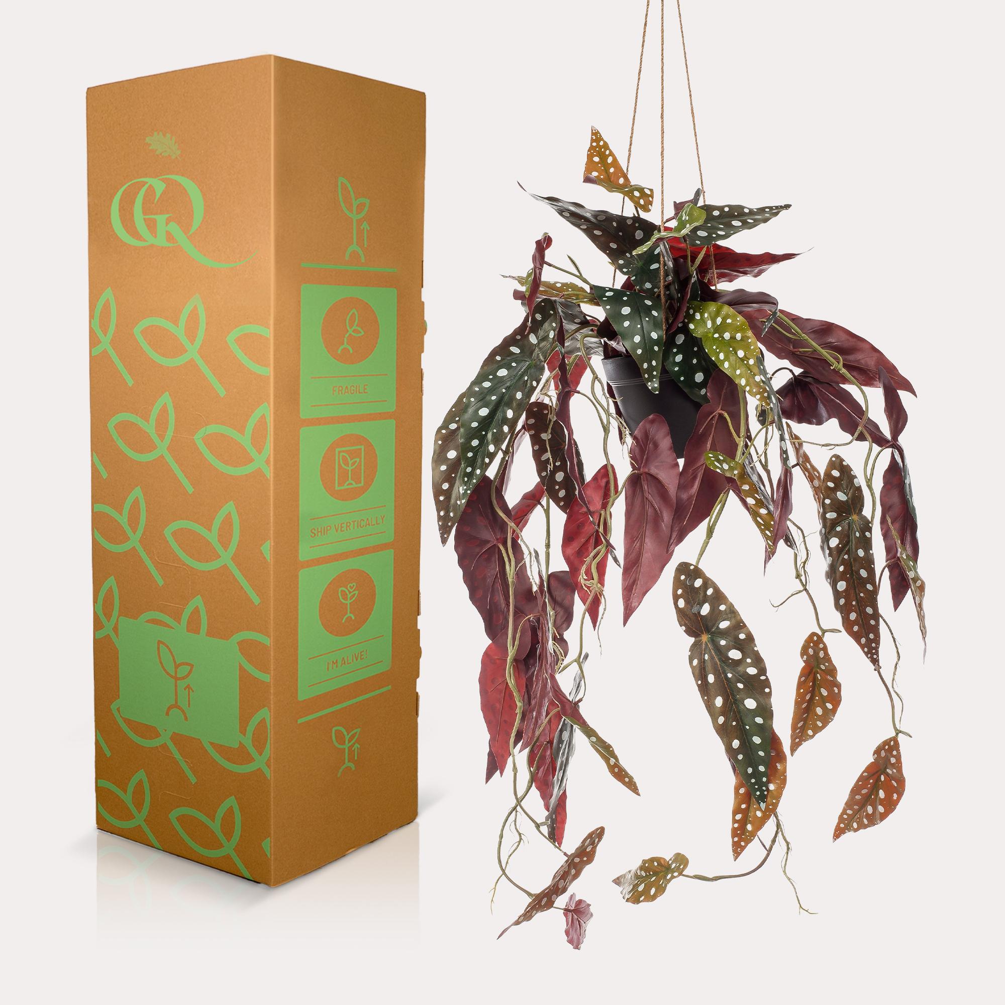 Kunstplant en pot. Plante verte type Kunstplant, livrée en pot, idéale pour intérieur lumineux. – Image 4