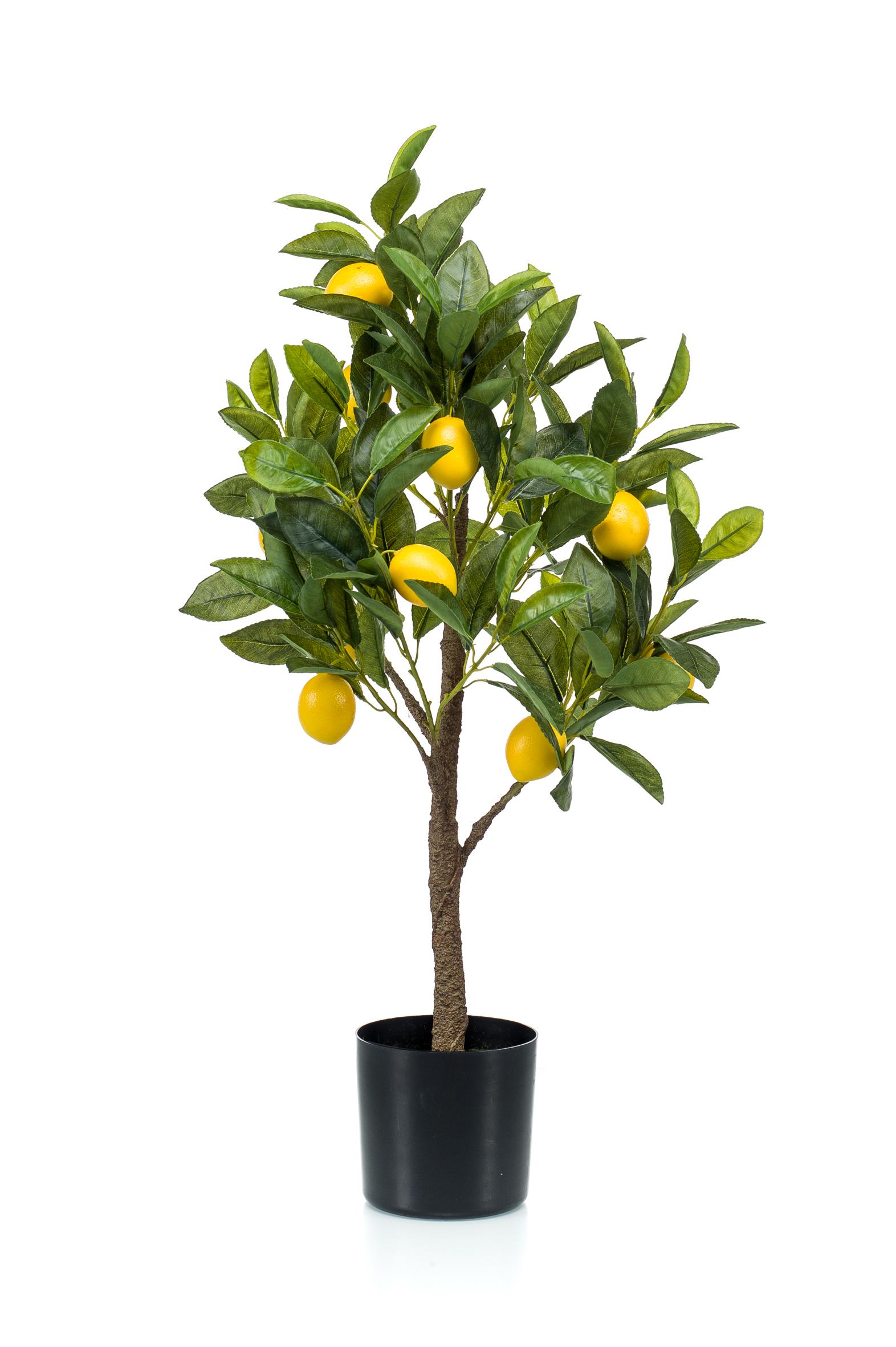 Kunstplant en pot. Plante verte type Kunstplant, livrée en pot, idéale pour intérieur lumineux. – Image 4