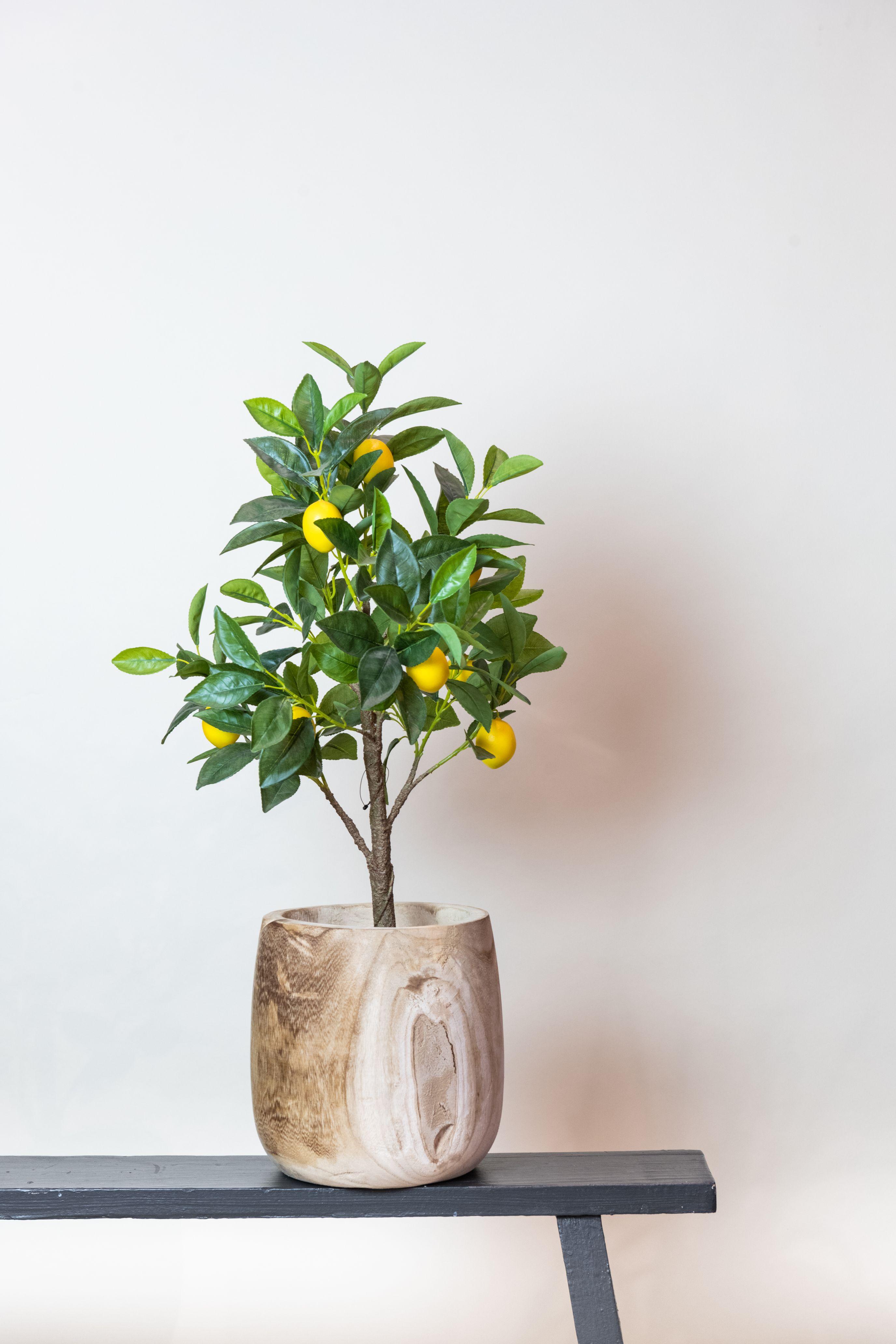 Kunstplant en pot. Plante verte type Kunstplant, livrée en pot, idéale pour intérieur lumineux. – Image 5