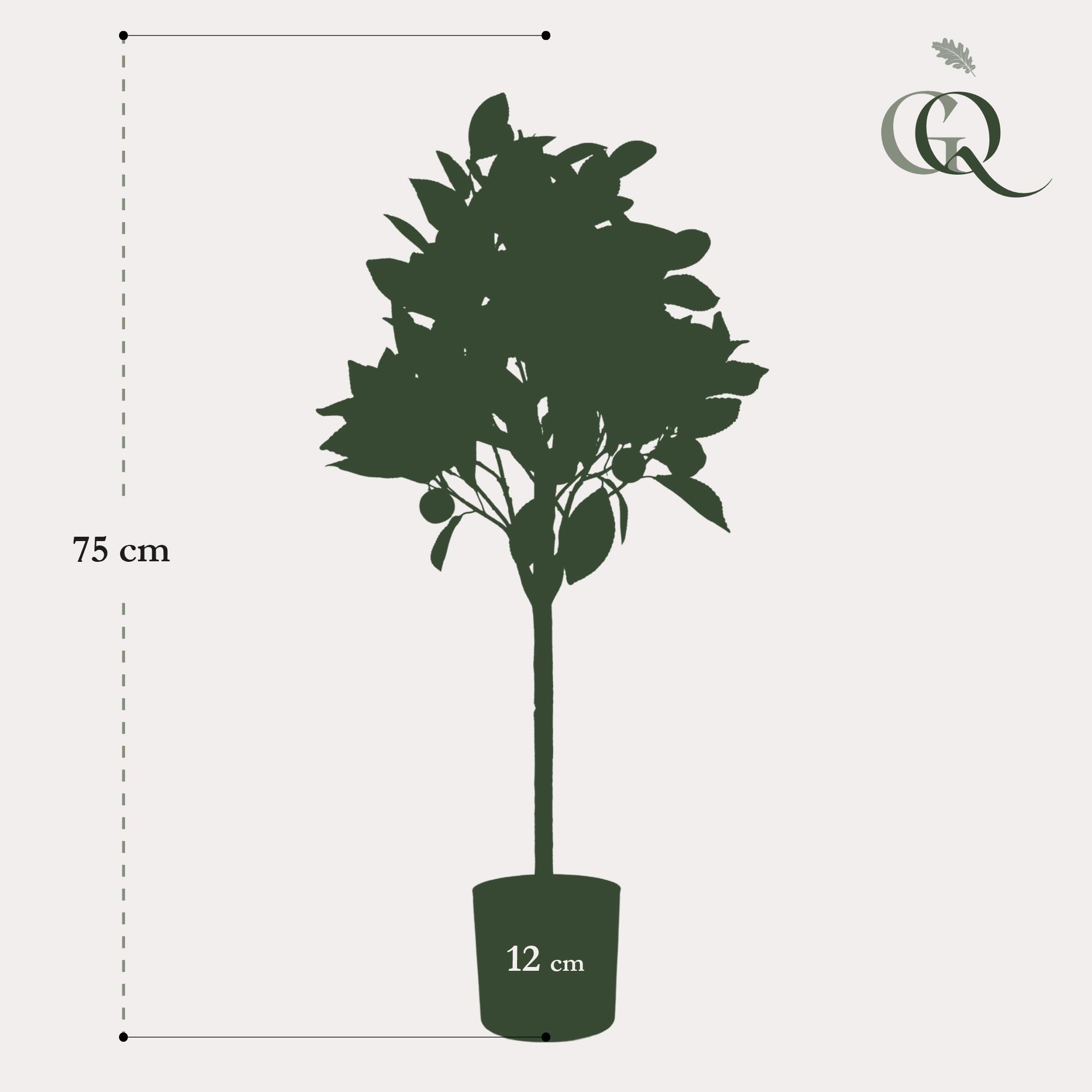 Kunstplant en pot. Plante verte type Kunstplant, livrée en pot, idéale pour intérieur lumineux. – Image 3