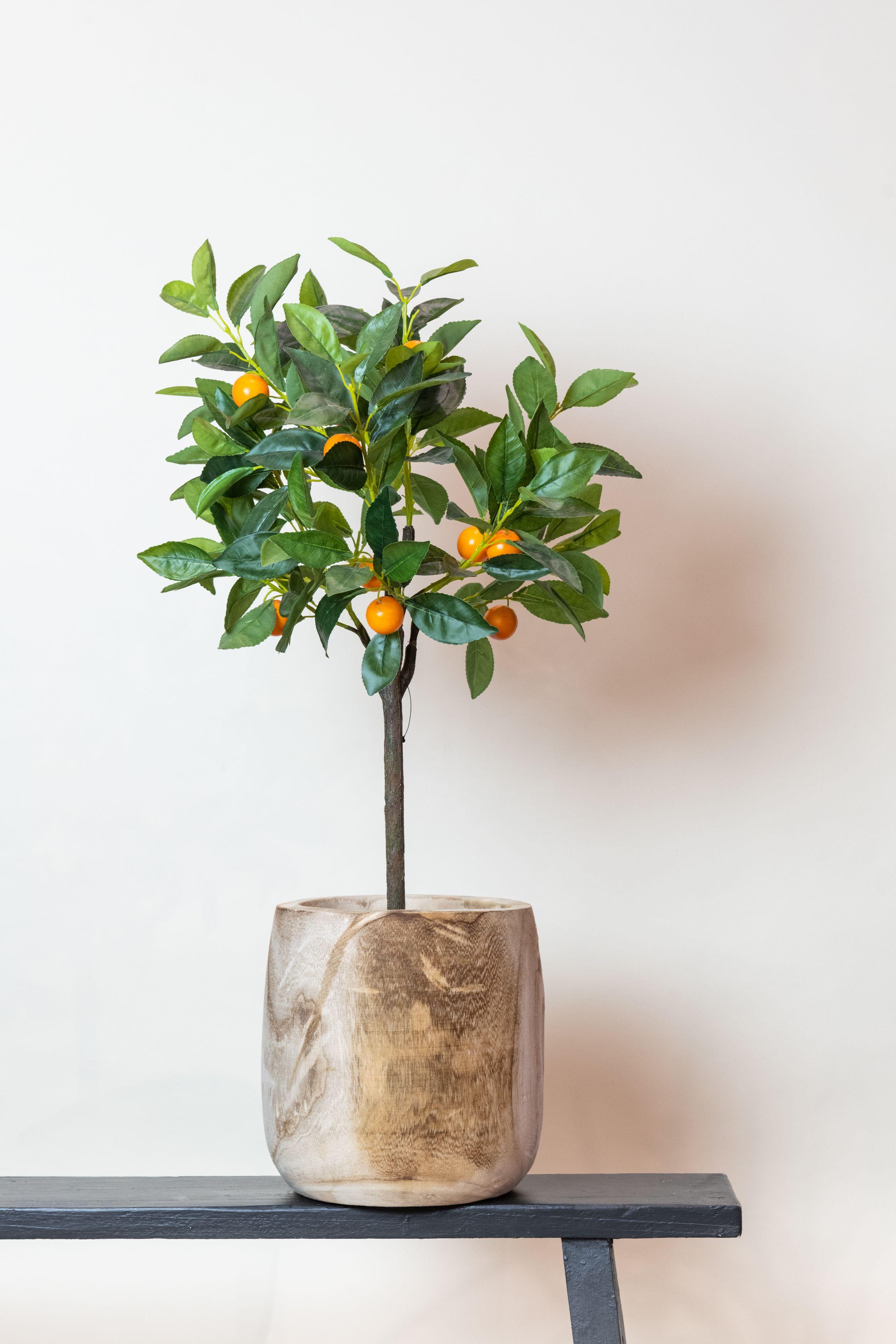 Kunstplant en pot. Plante verte type Kunstplant, livrée en pot, idéale pour intérieur lumineux. – Image 5