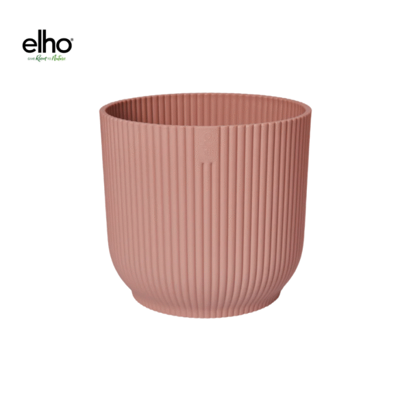 Pot elho Vibes Fold Round roze en pot  Hauteur 27cm. Plante verte type Pot elho Vibes Fold Round roze, livrée en pot, idéale pour intérieur lumineux.