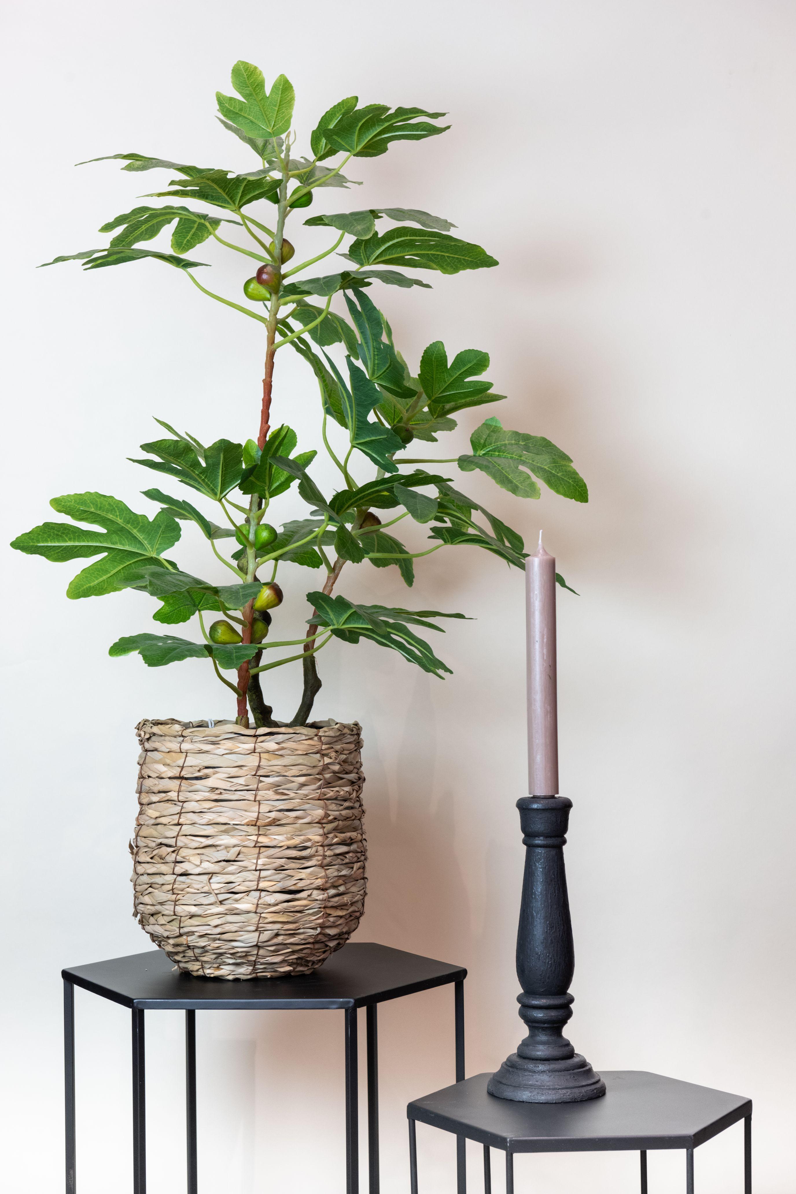 Kunstplant en pot. Plante verte type Kunstplant, livrée en pot, idéale pour intérieur lumineux. – Image 3