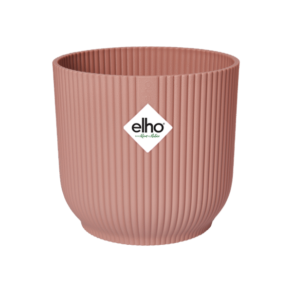 Pot elho Vibes Fold Round roze en pot  Hauteur 27cm. Plante verte type Pot elho Vibes Fold Round roze, livrée en pot, idéale pour intérieur lumineux. – Image 2