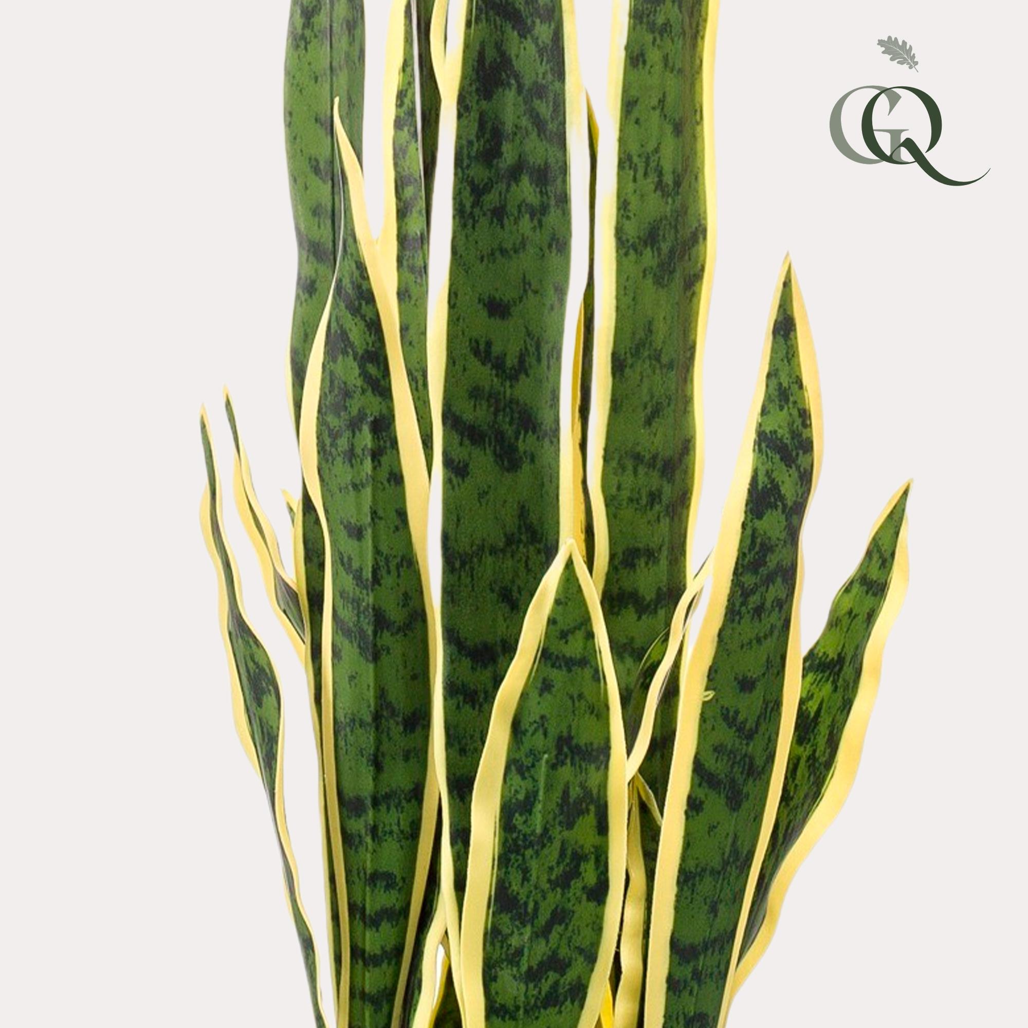 Kunstplant en pot. Plante verte type Kunstplant, livrée en pot, idéale pour intérieur lumineux. – Image 2
